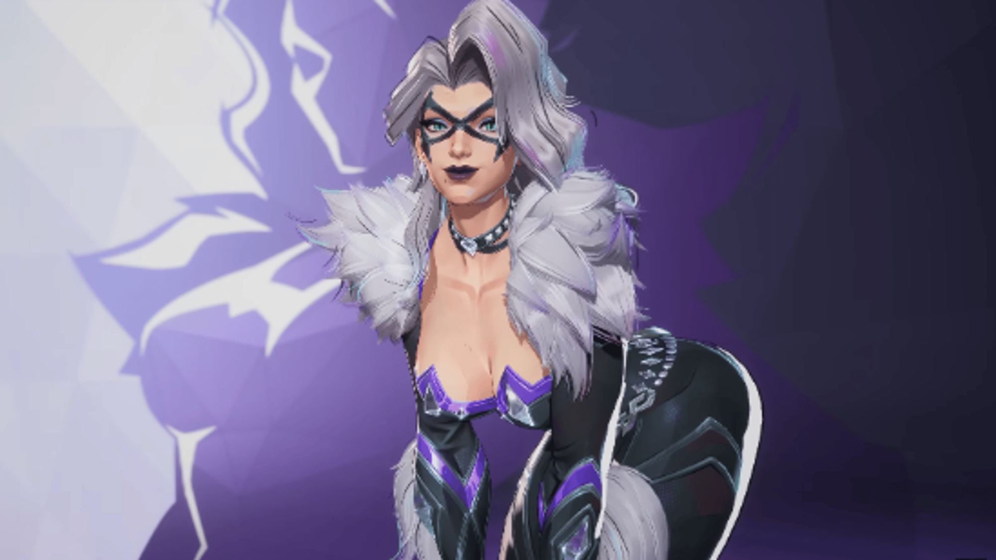 Black cat