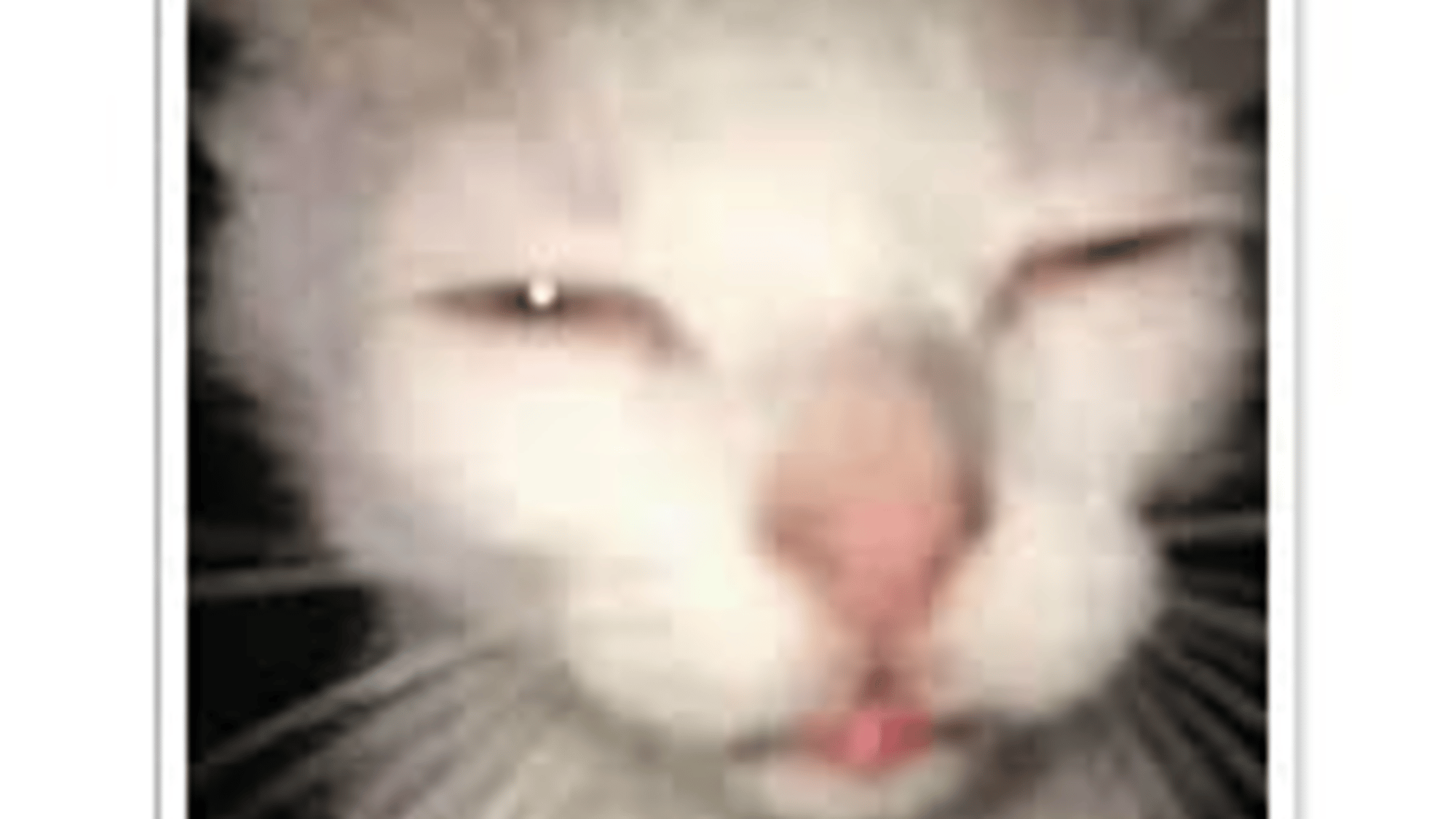 SCP-1471