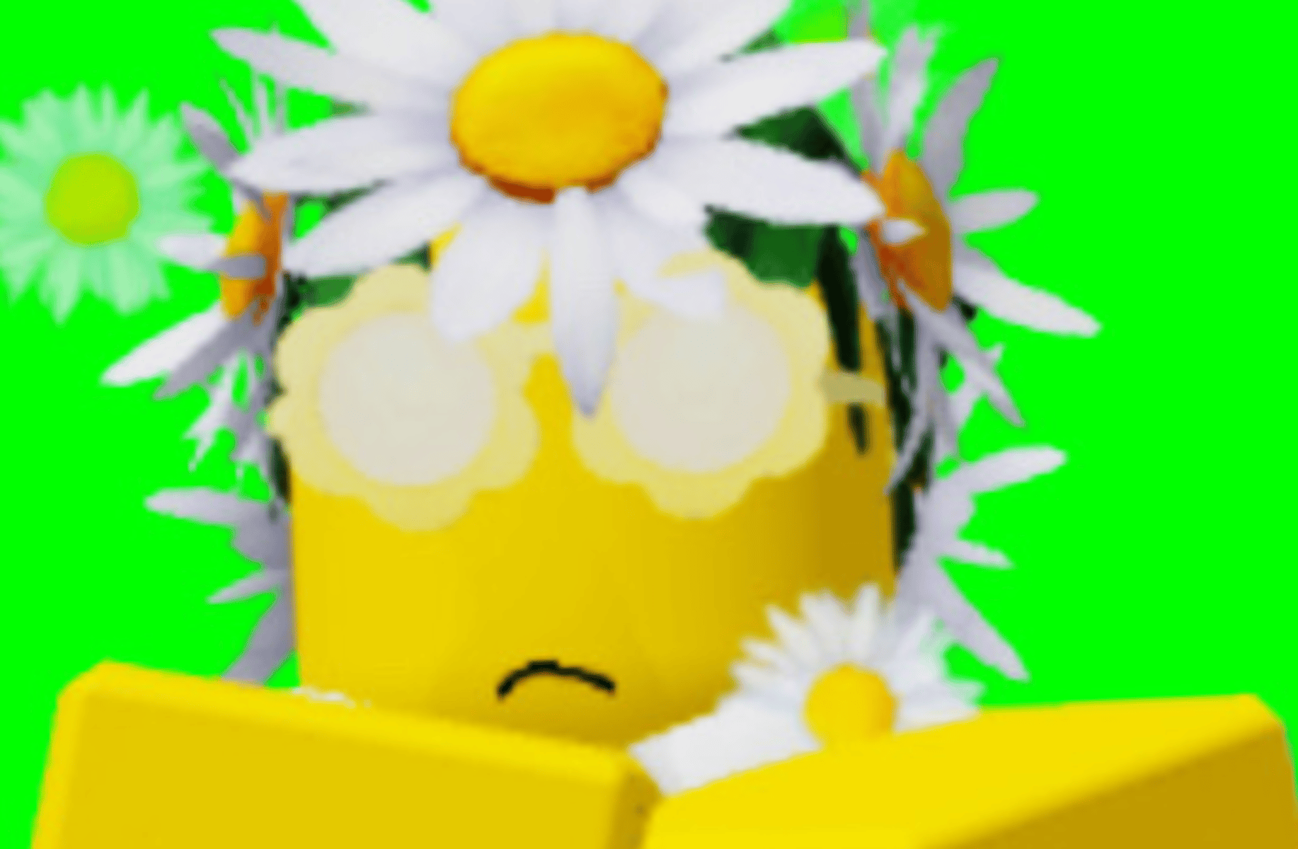 Lily