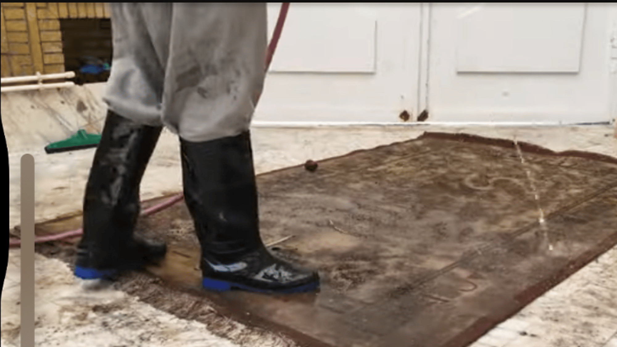 Carpet Cleaner Guys