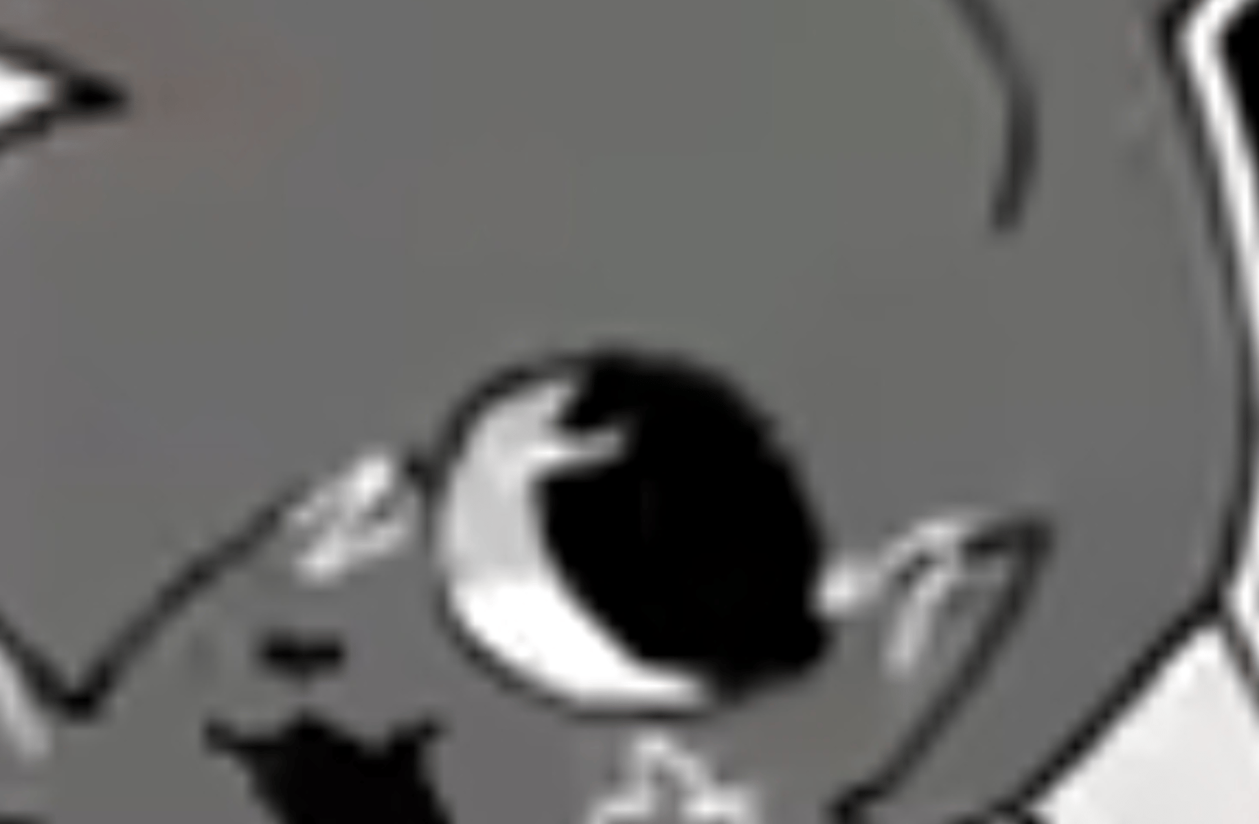 Pebble