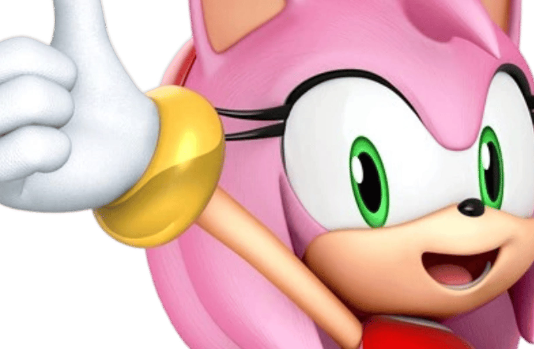 Amy rose