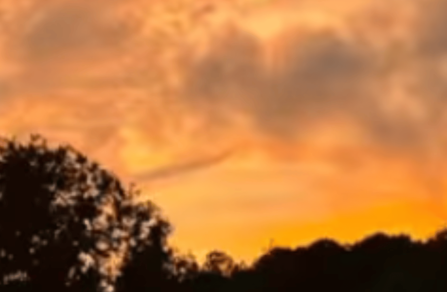 The summer I turn pretty