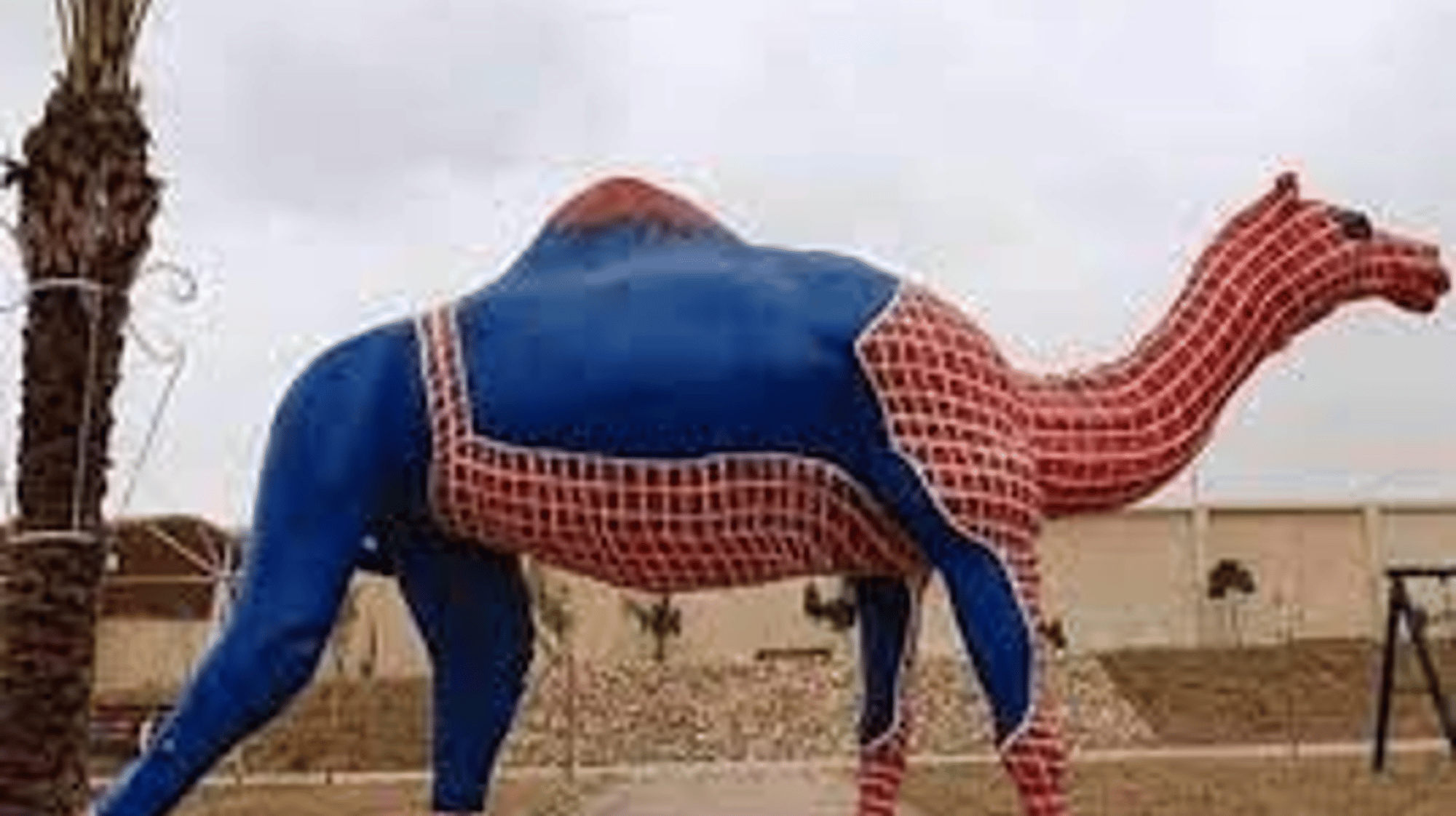 Spider-Camel
