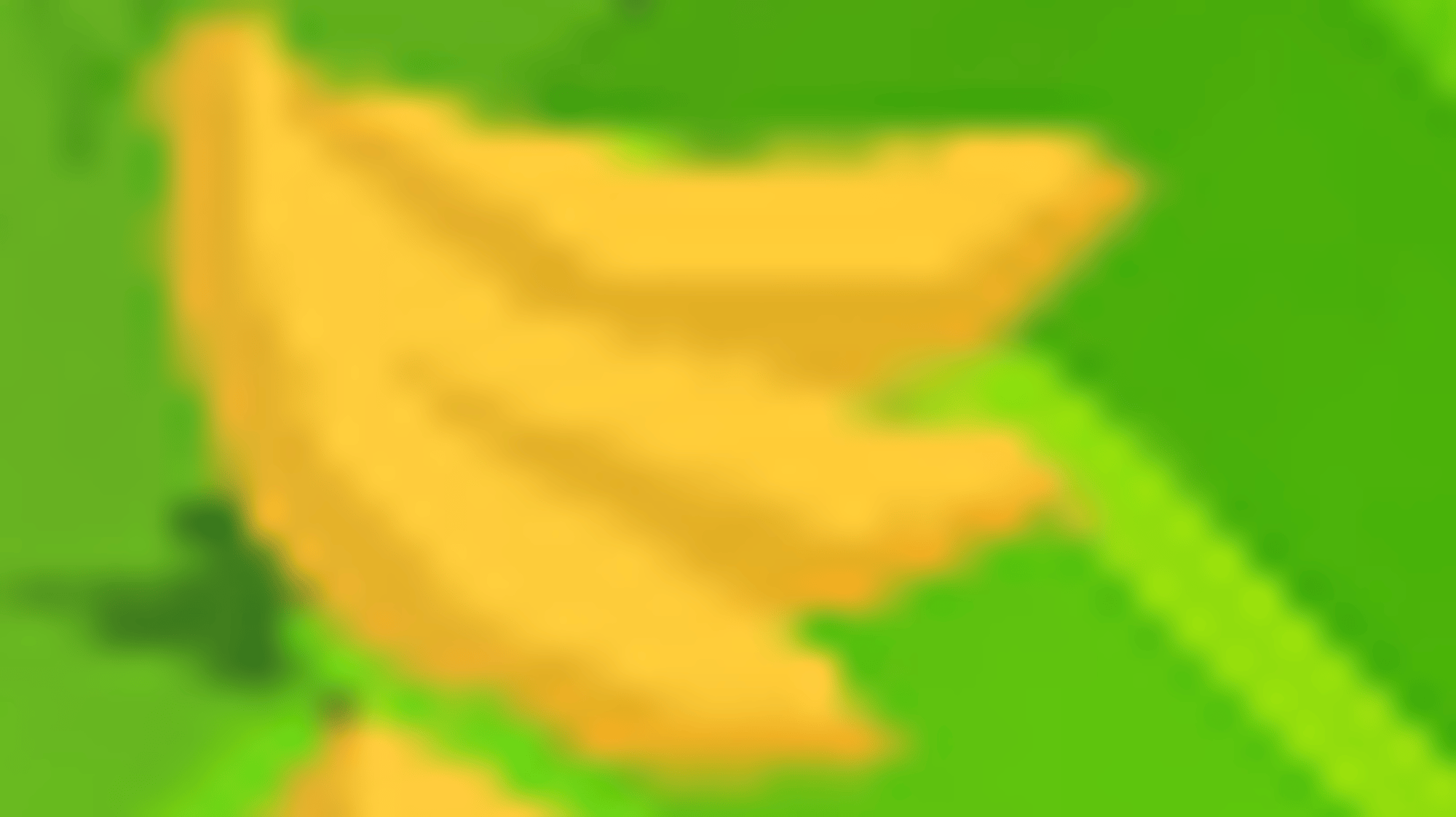 banana farm