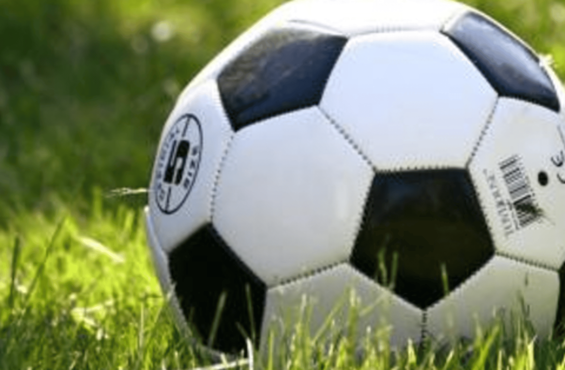 Best Football Simulator
