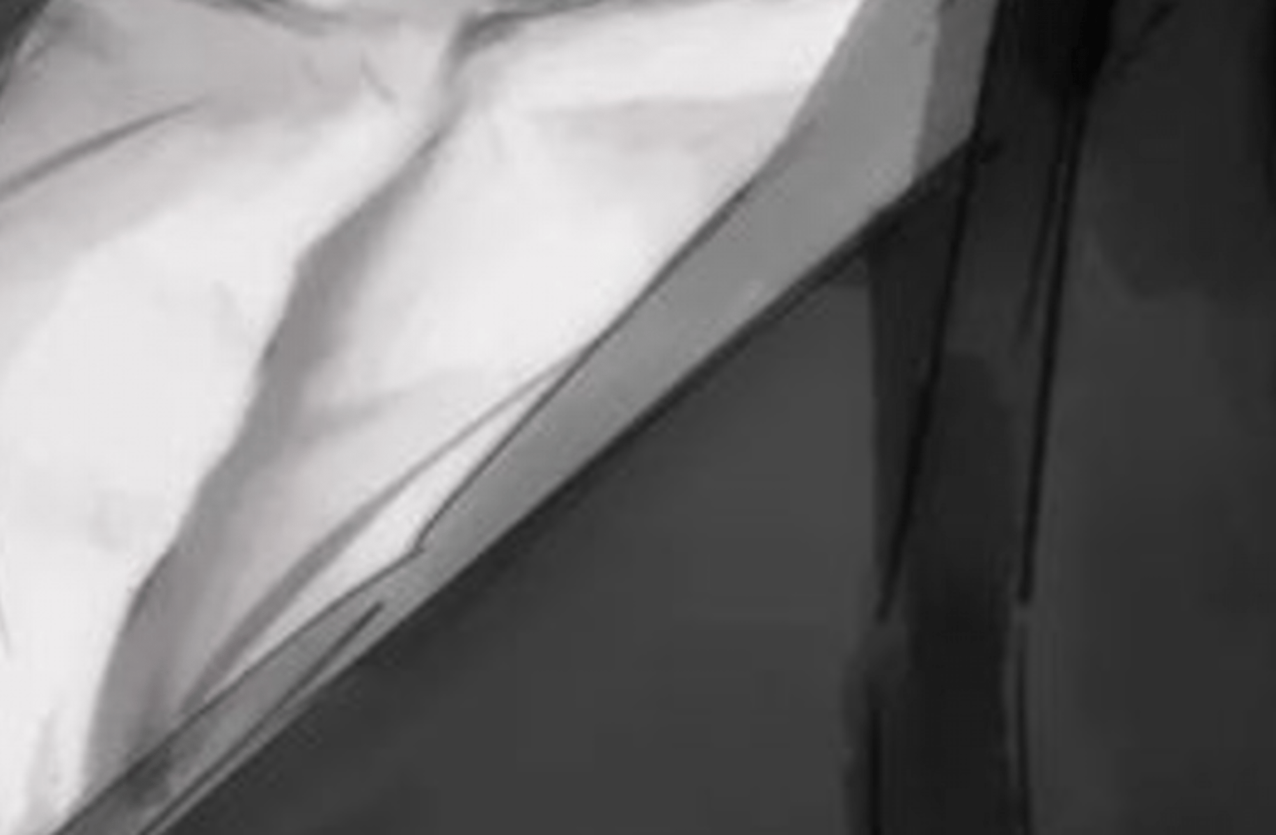 Vinc(Mafia husband)