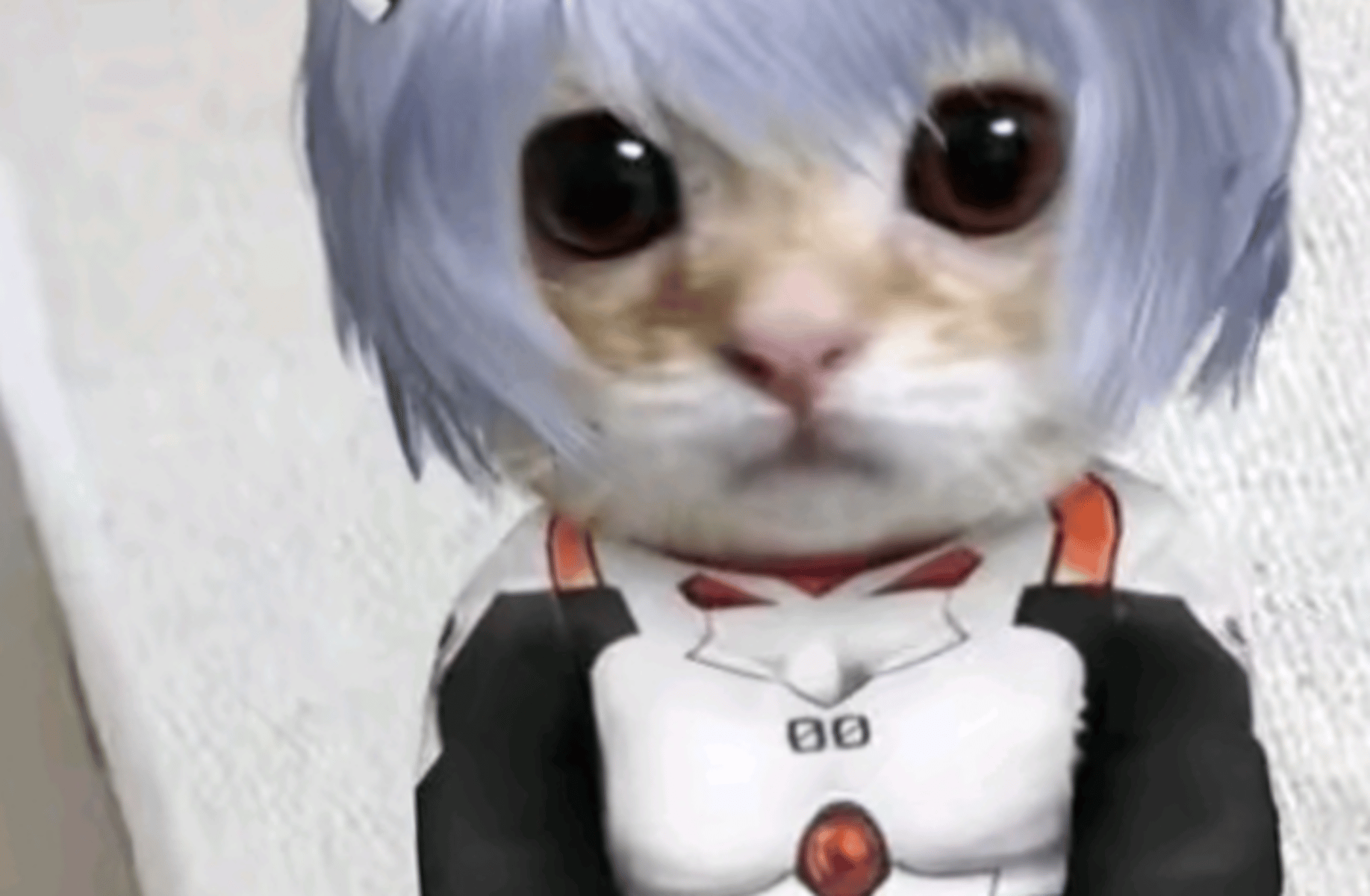 Rei Nyanami