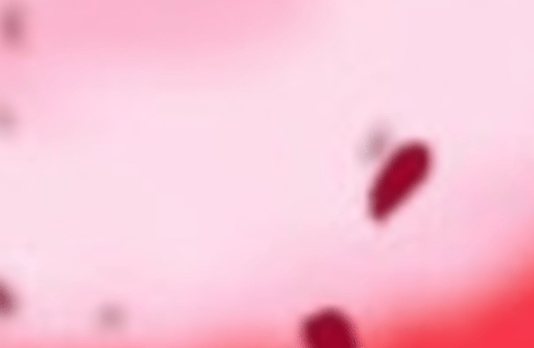 Ruby Rose