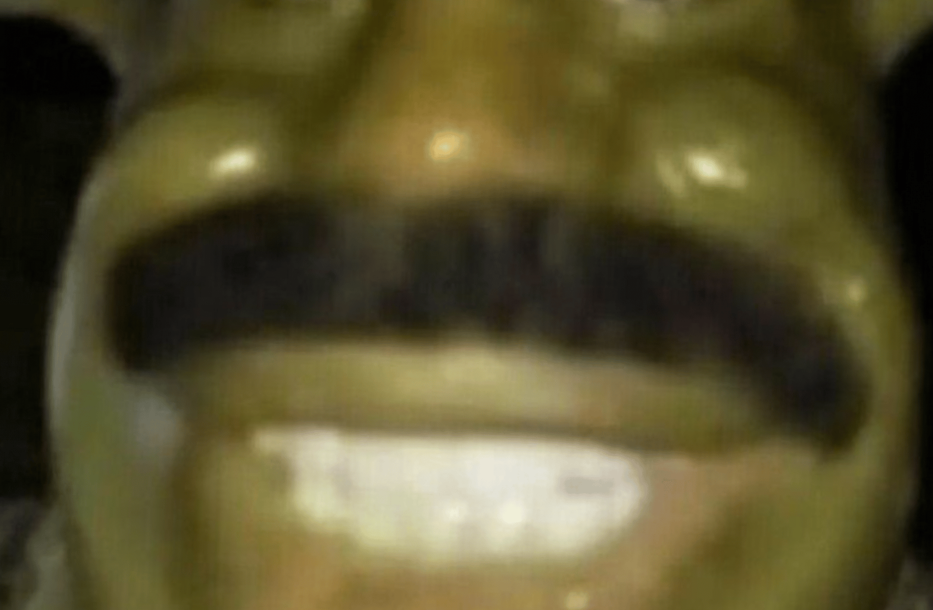 Dad shreck