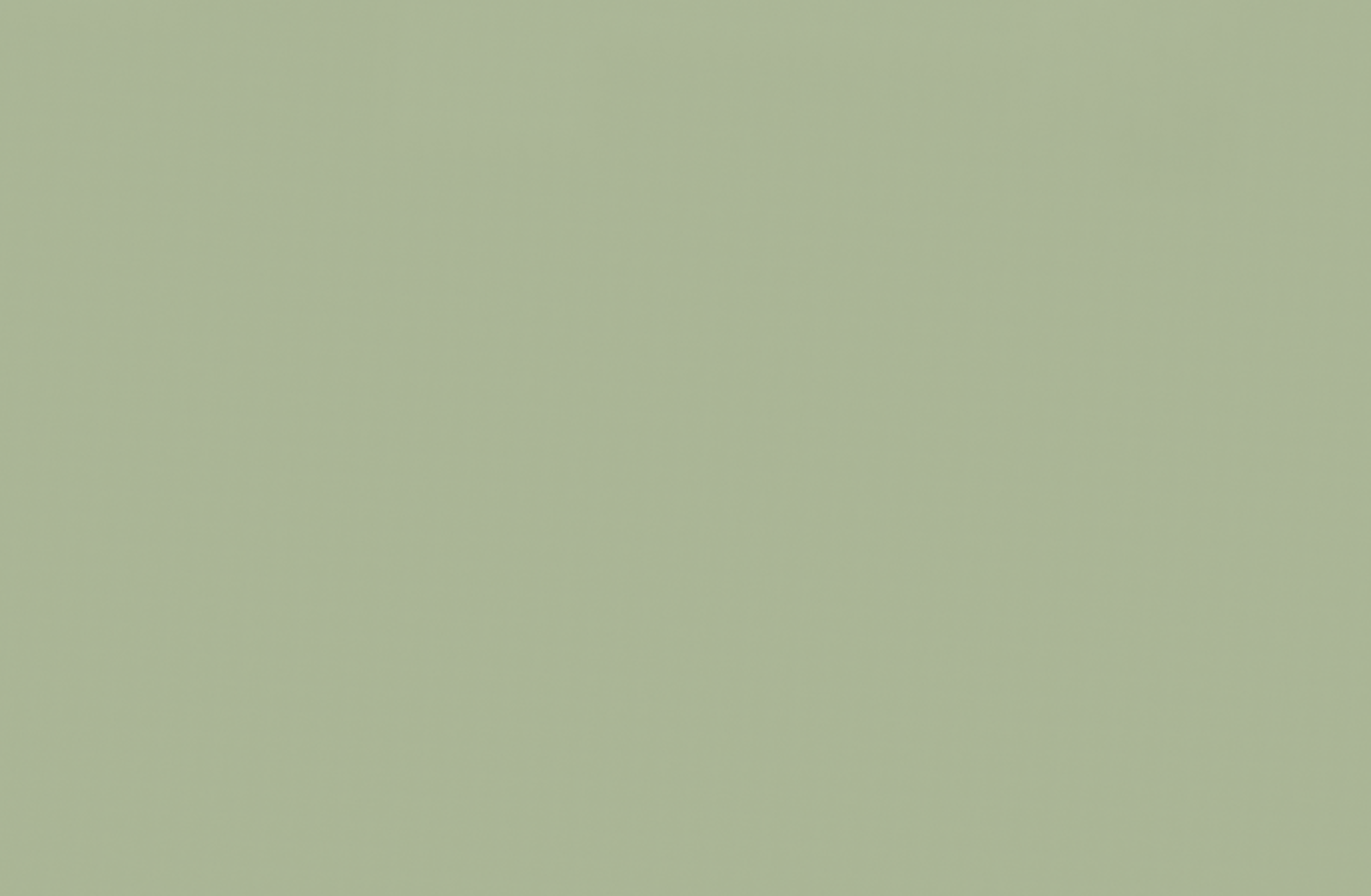 Rock lee