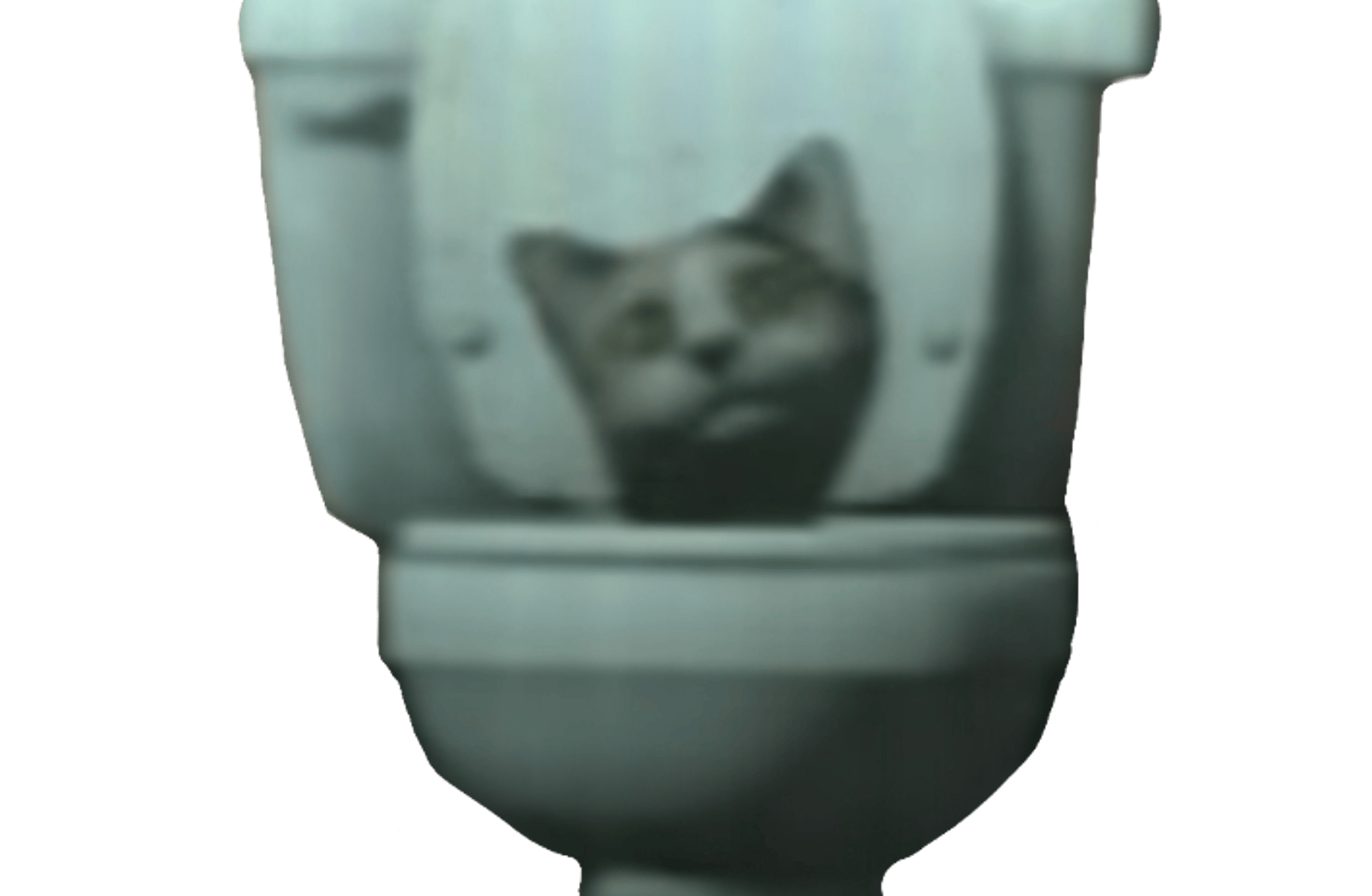 Cat Skibidi Toilet