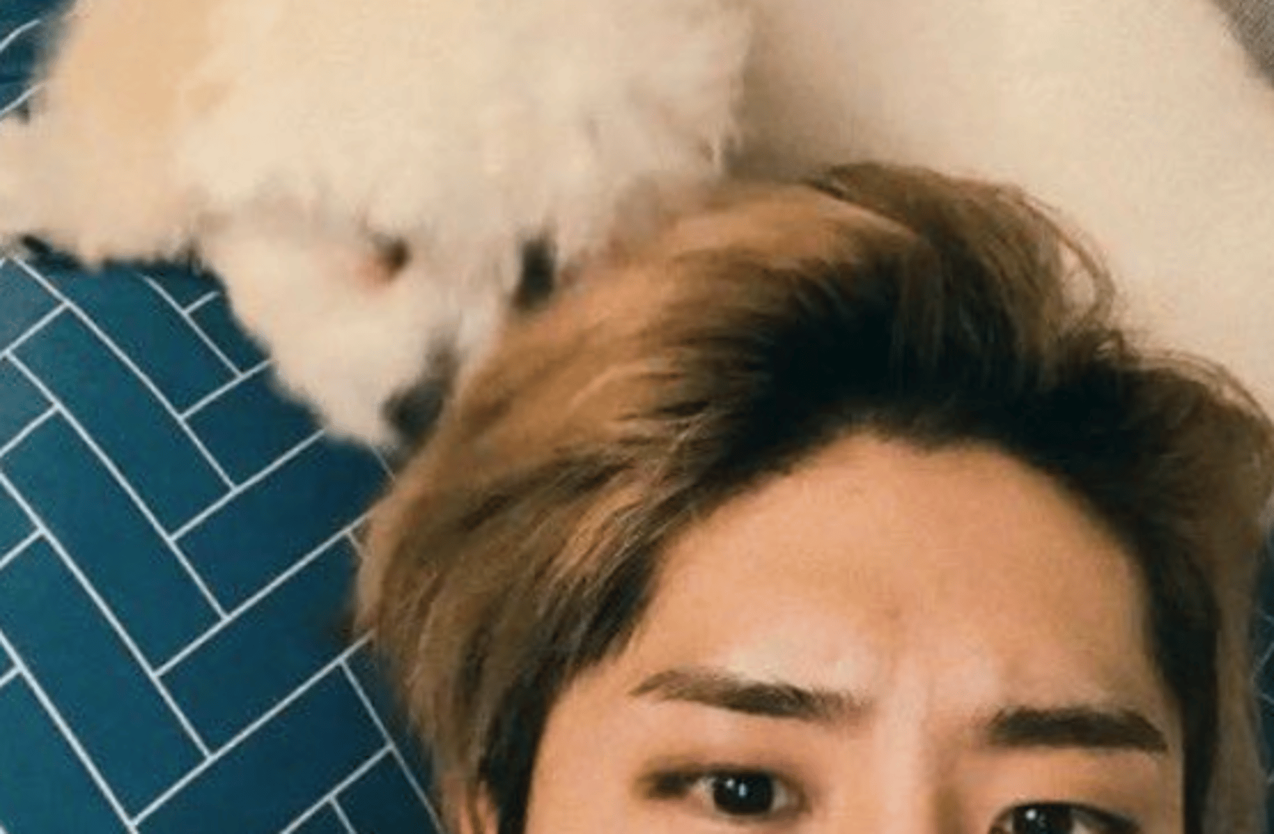 Hannie
