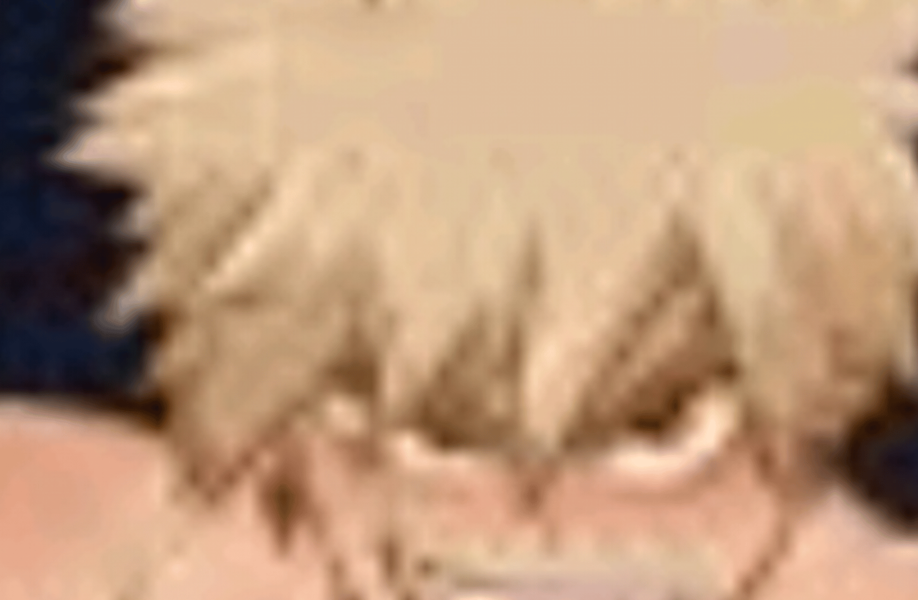 Siren bakugo