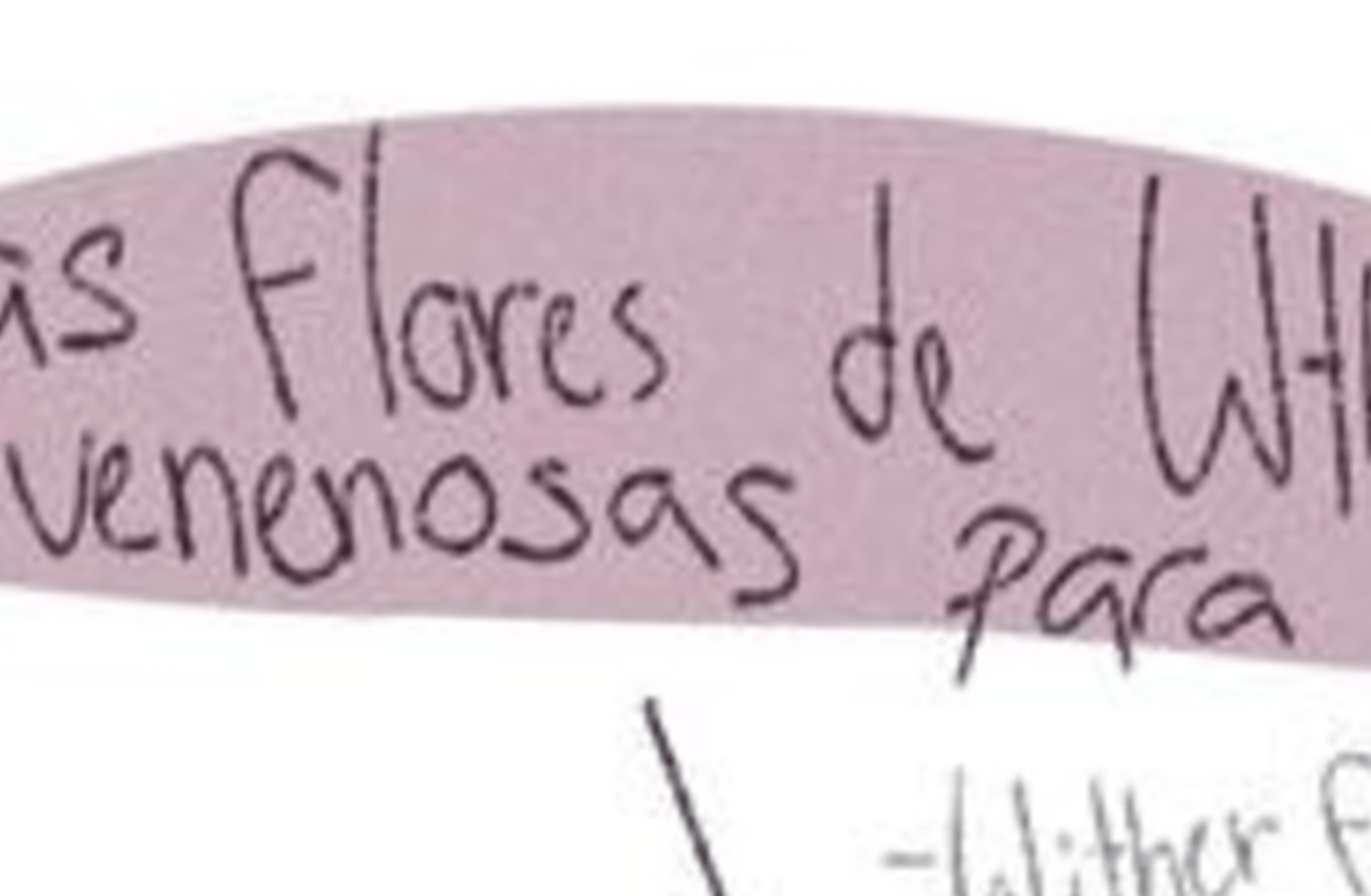 Farfadox