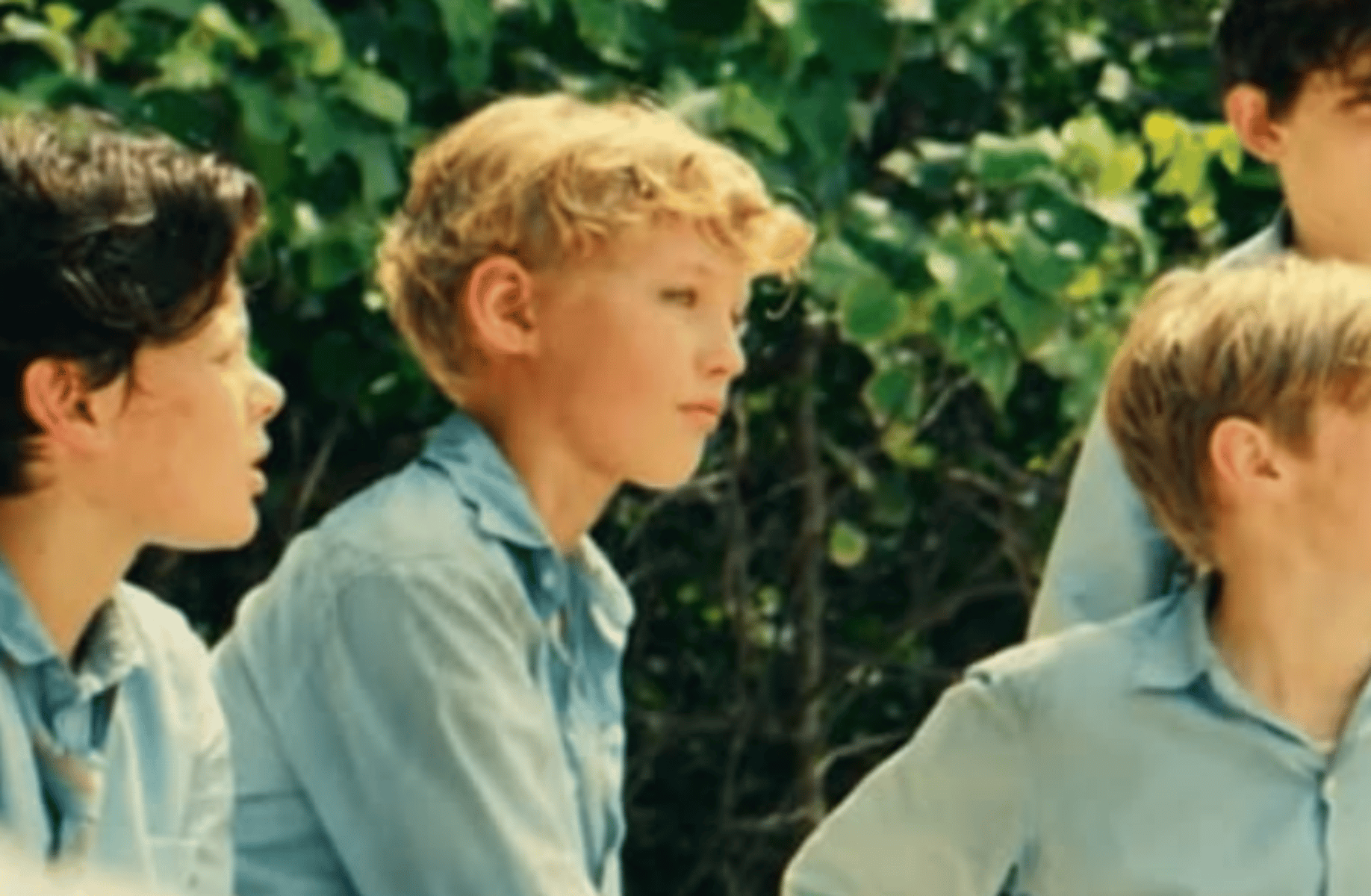 Lord of the flies
