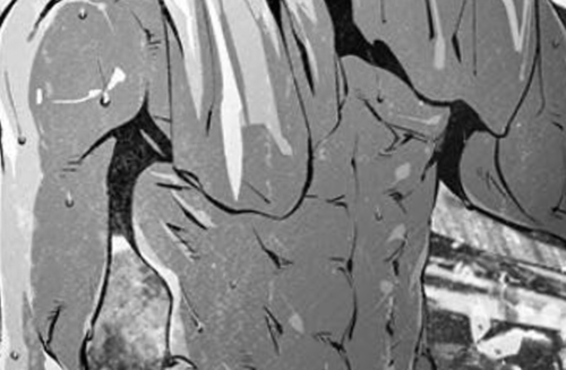 Levi Ackerman