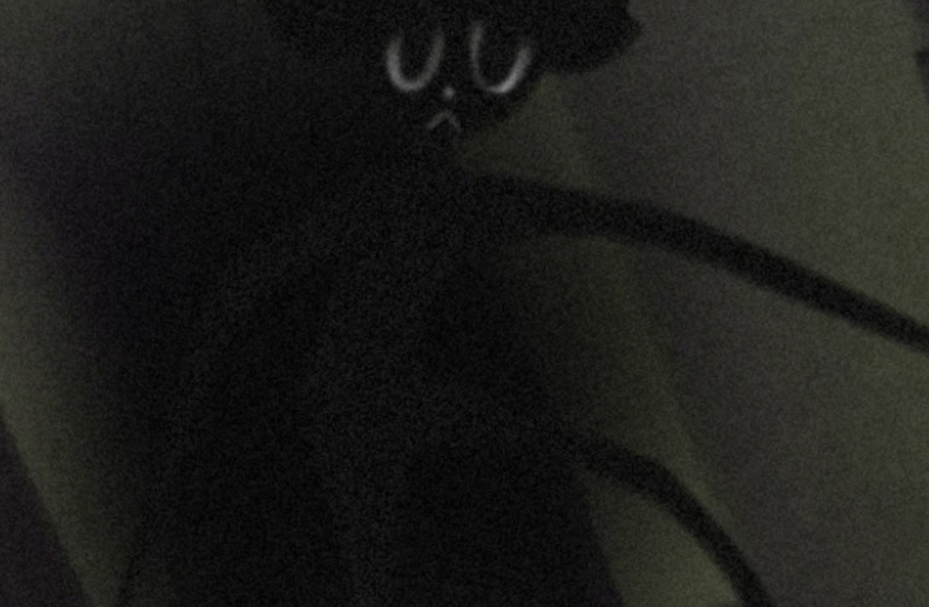 Cartoon Mouse