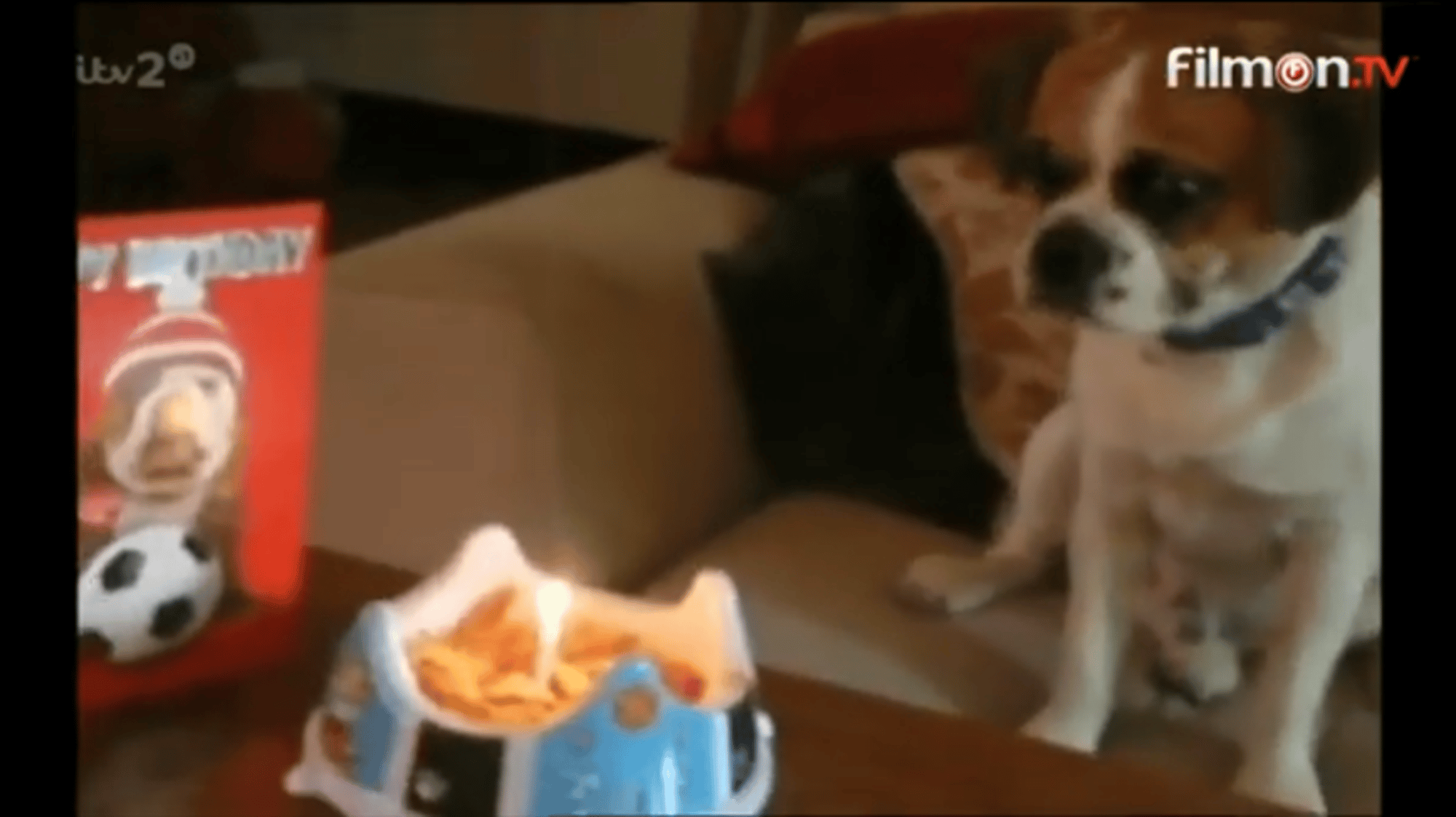 Boy