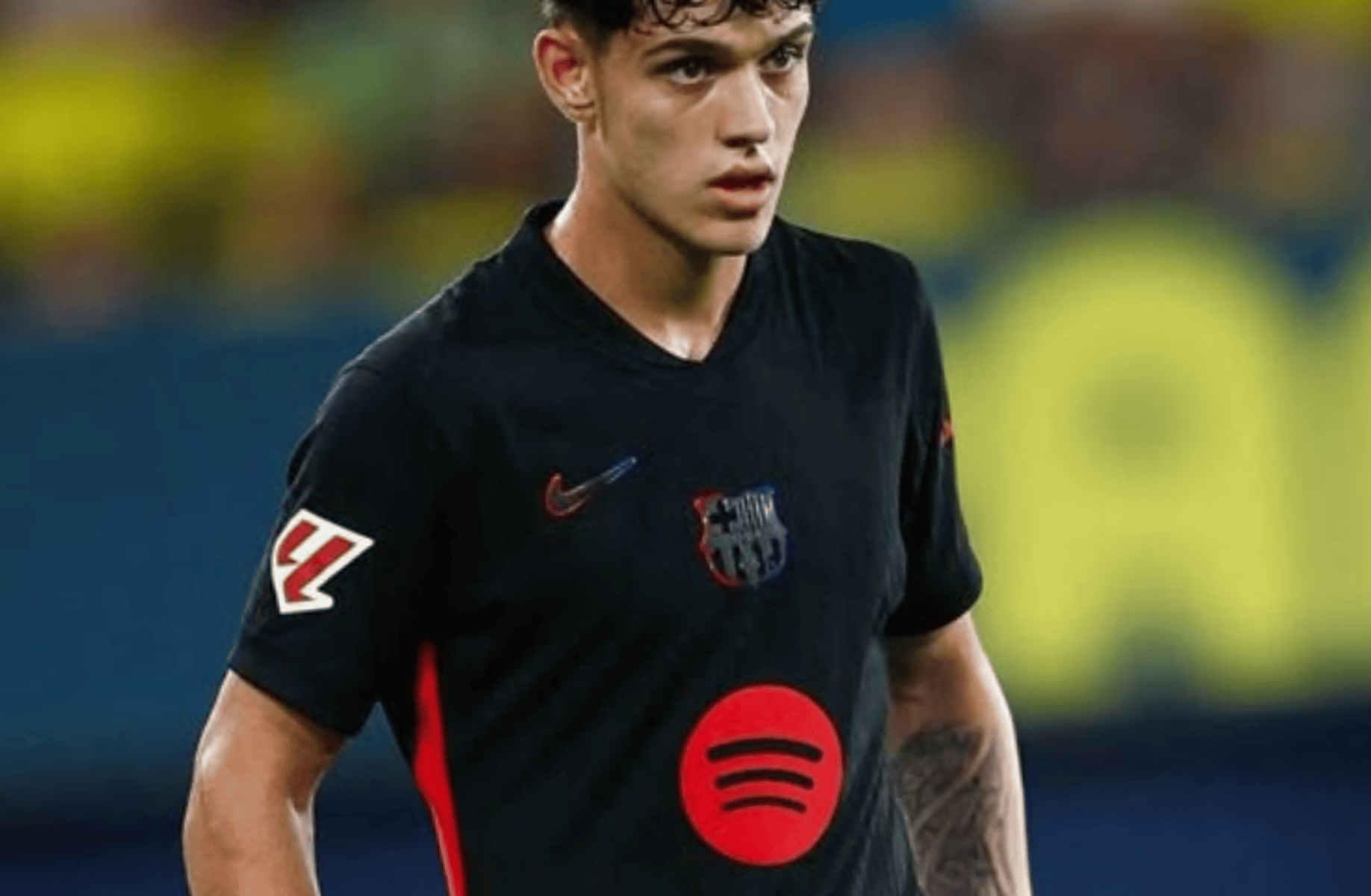 Hector Fort