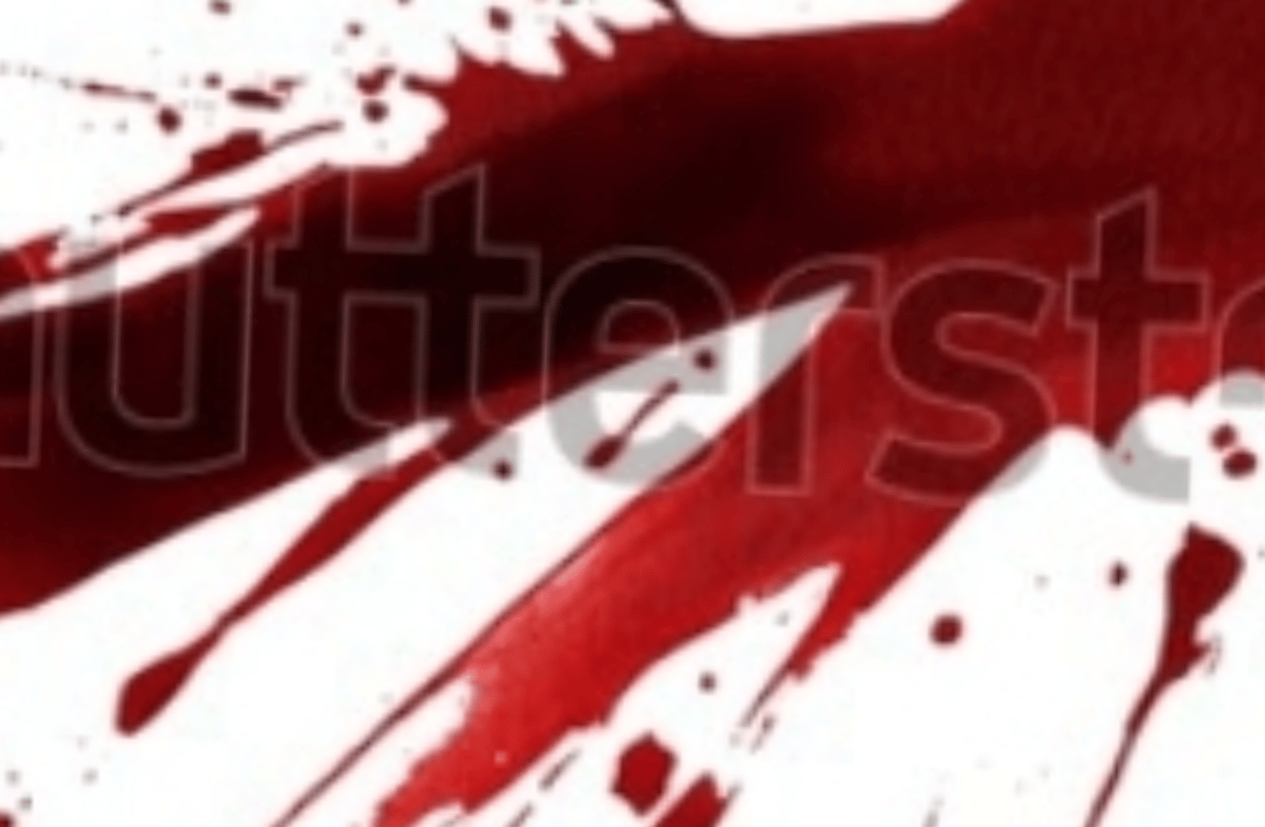 Unnamed plush experiment