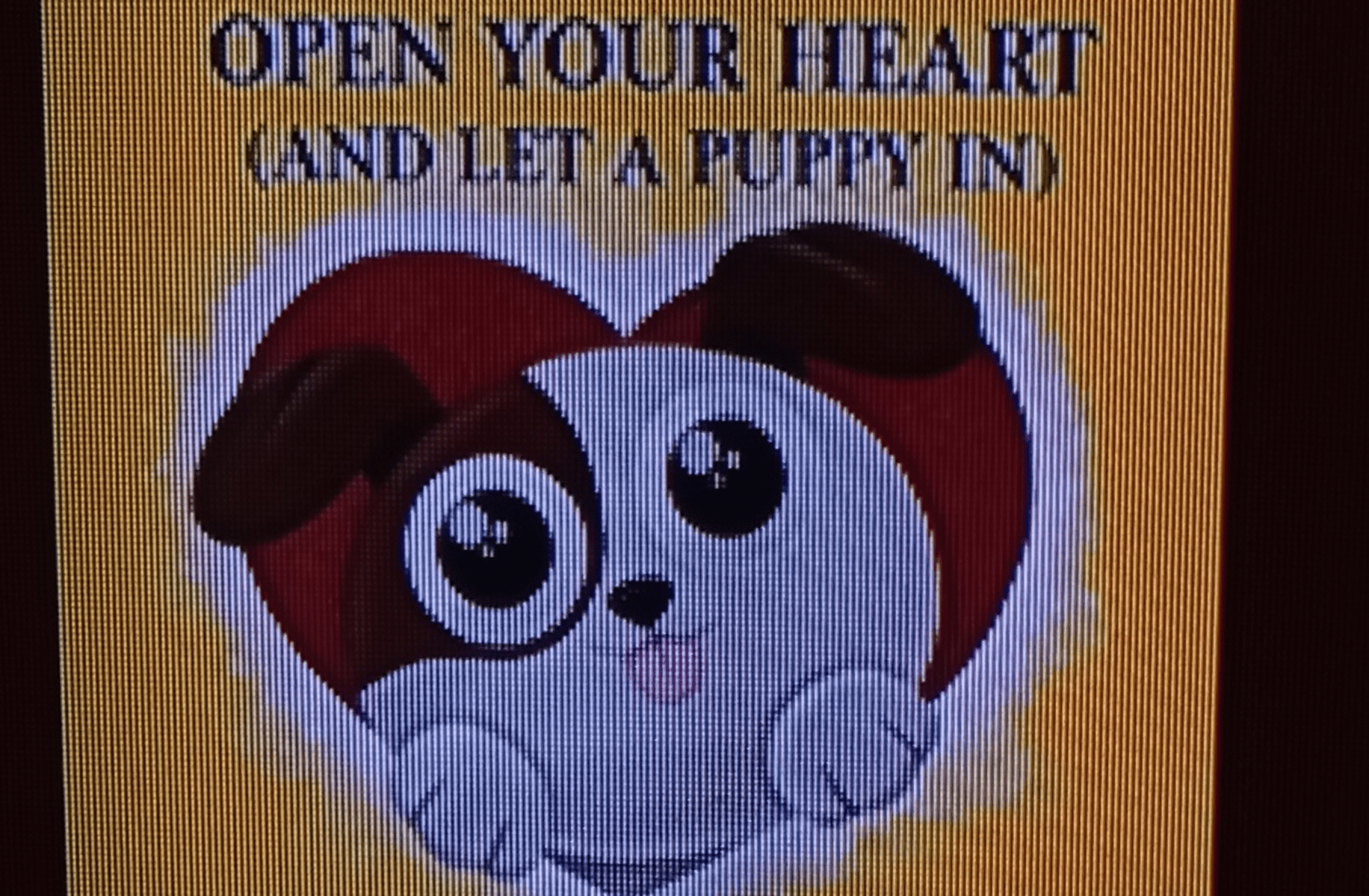 Open your heart