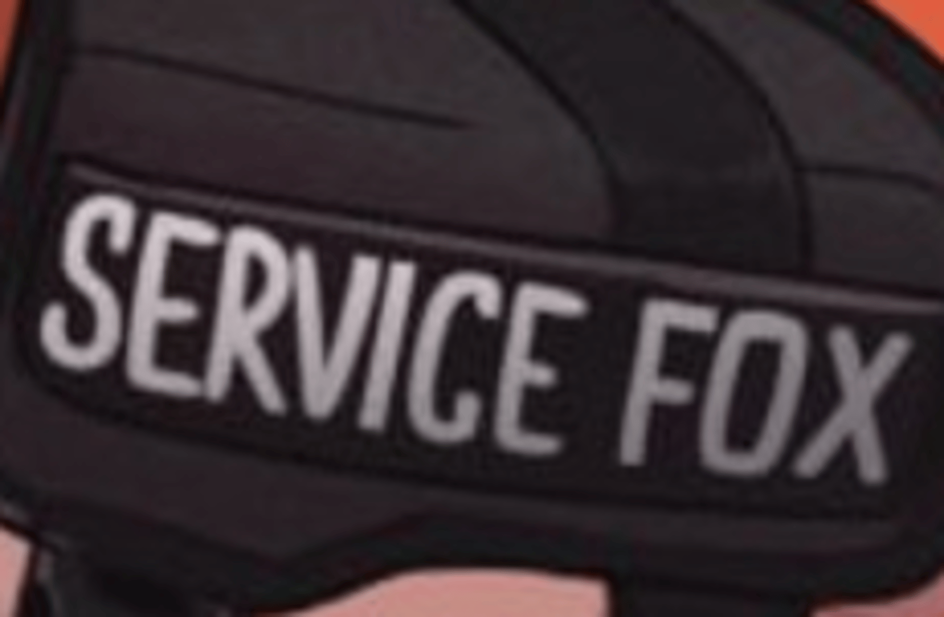 Public Service Fox