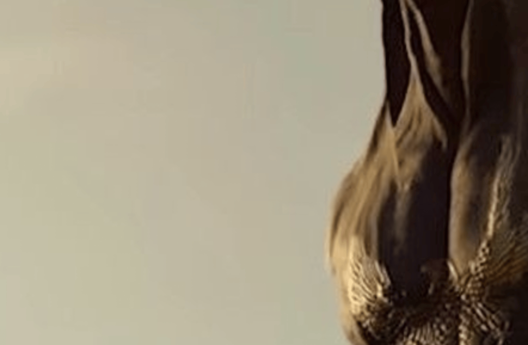 Anubis,