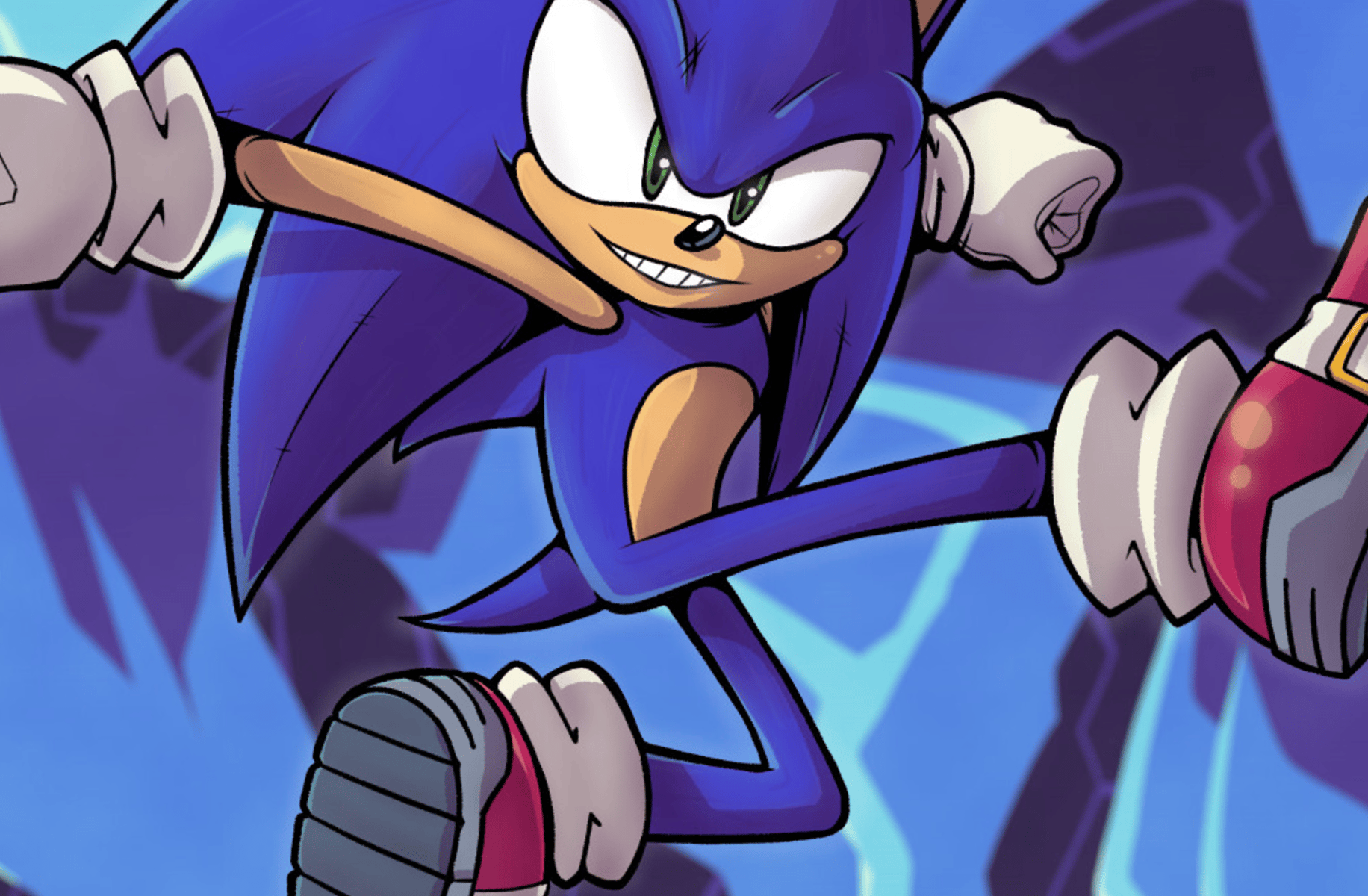 Sonic the hedgehog