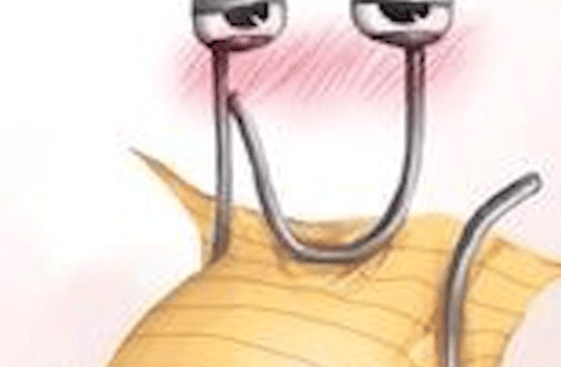 Clippy