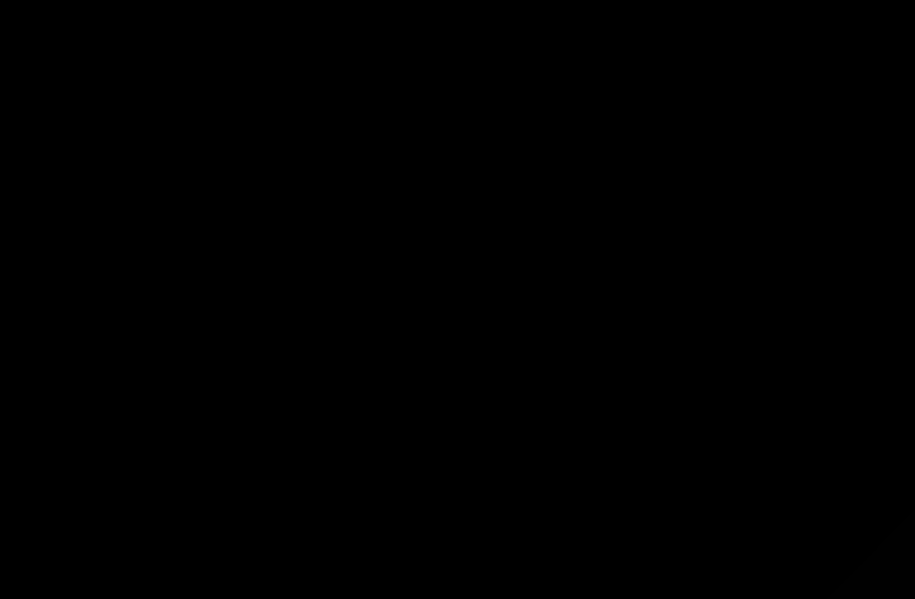 Victor blade