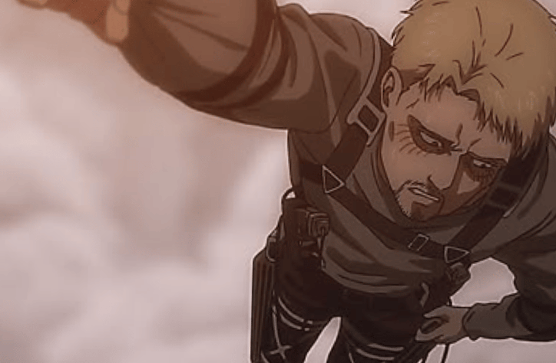 Reiner Braun