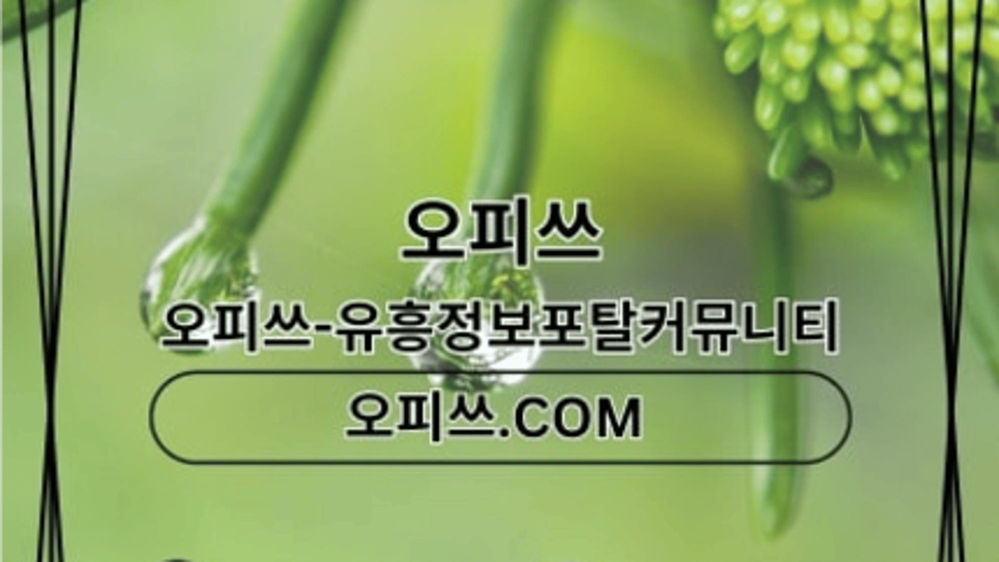 gangseochuljangshop