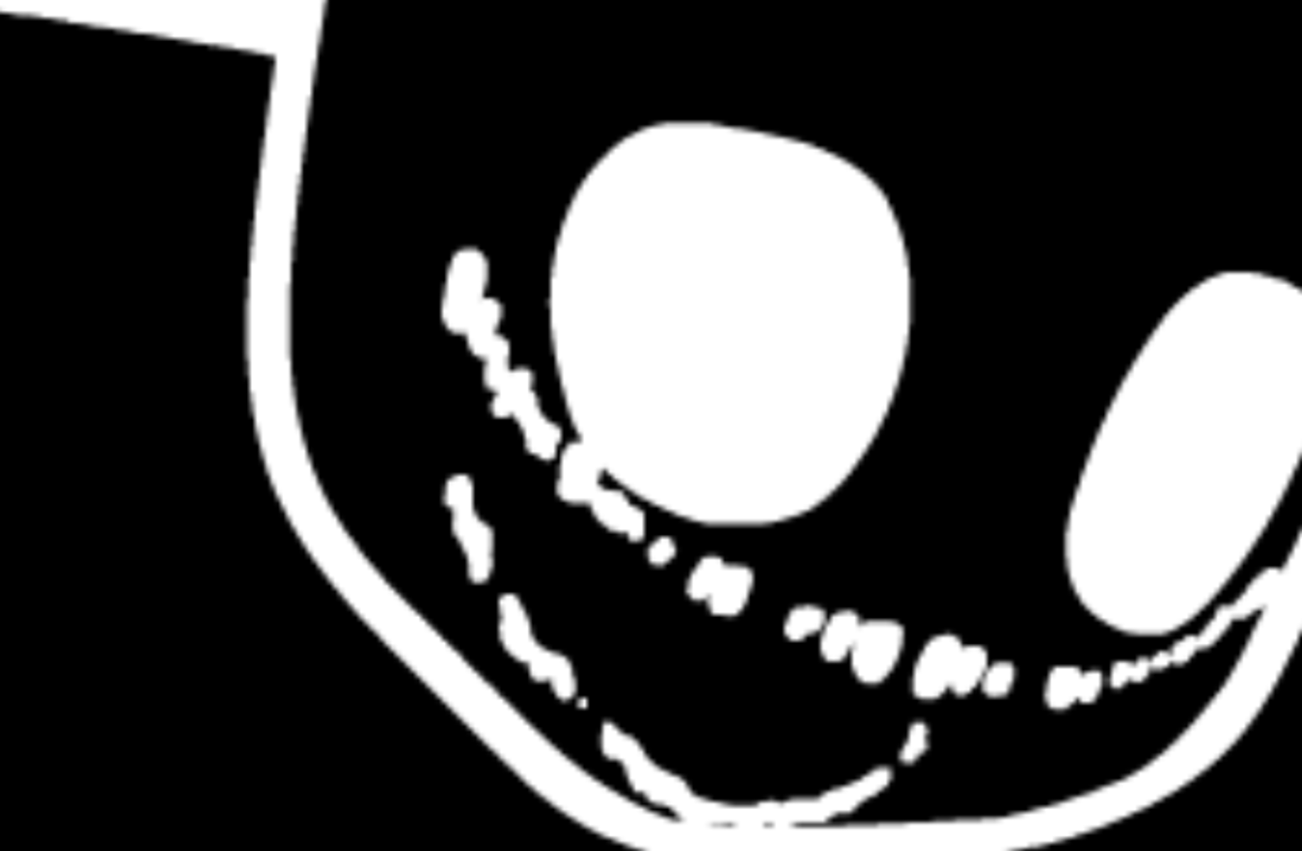 Nekoamon