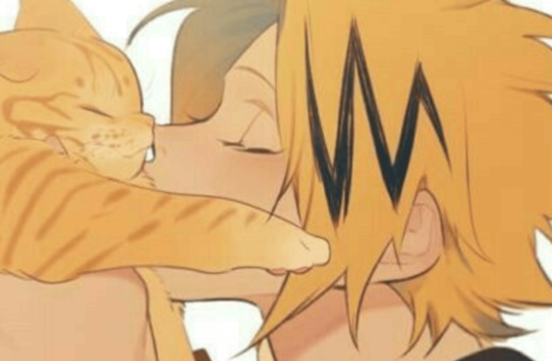 Denki Kaminari - MLM