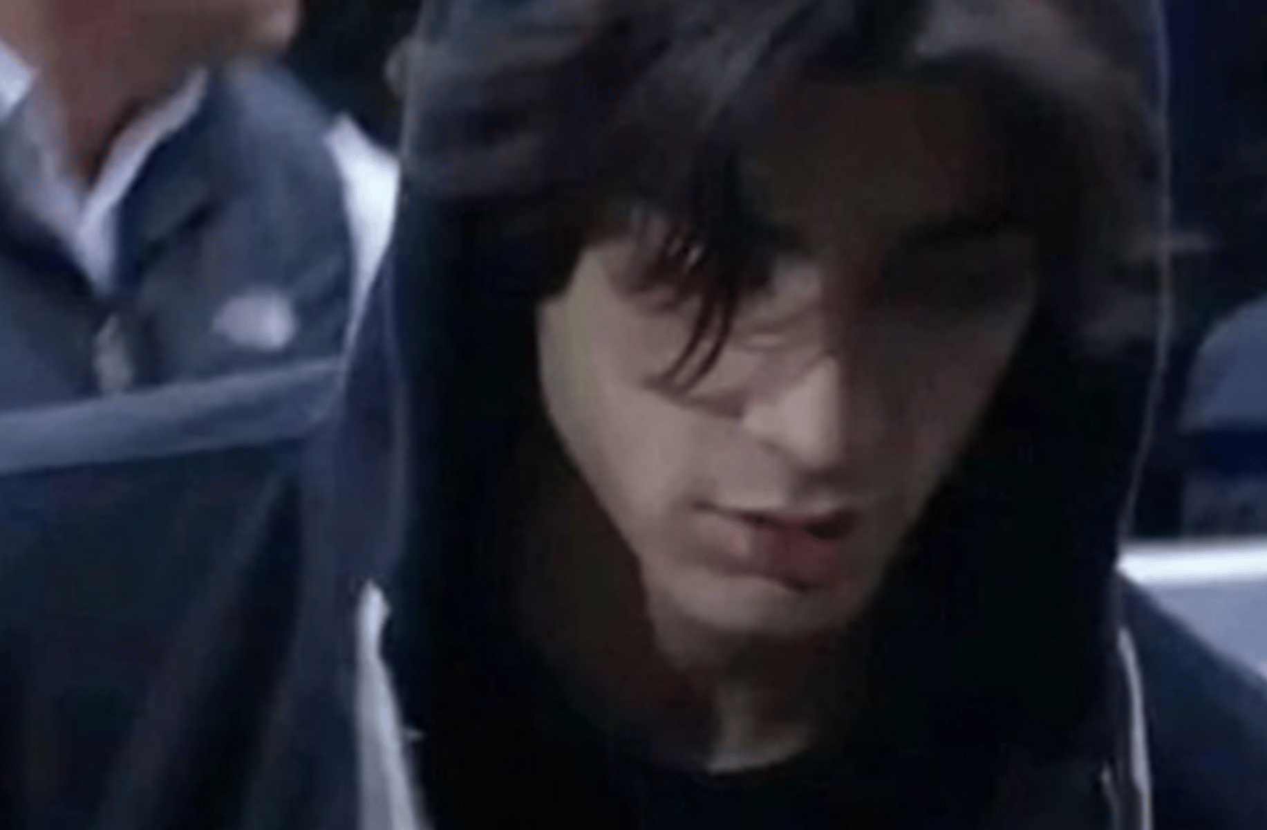 Zayn Malik
