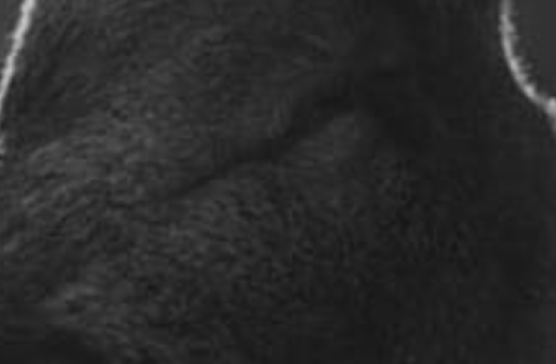 the day of the falcon