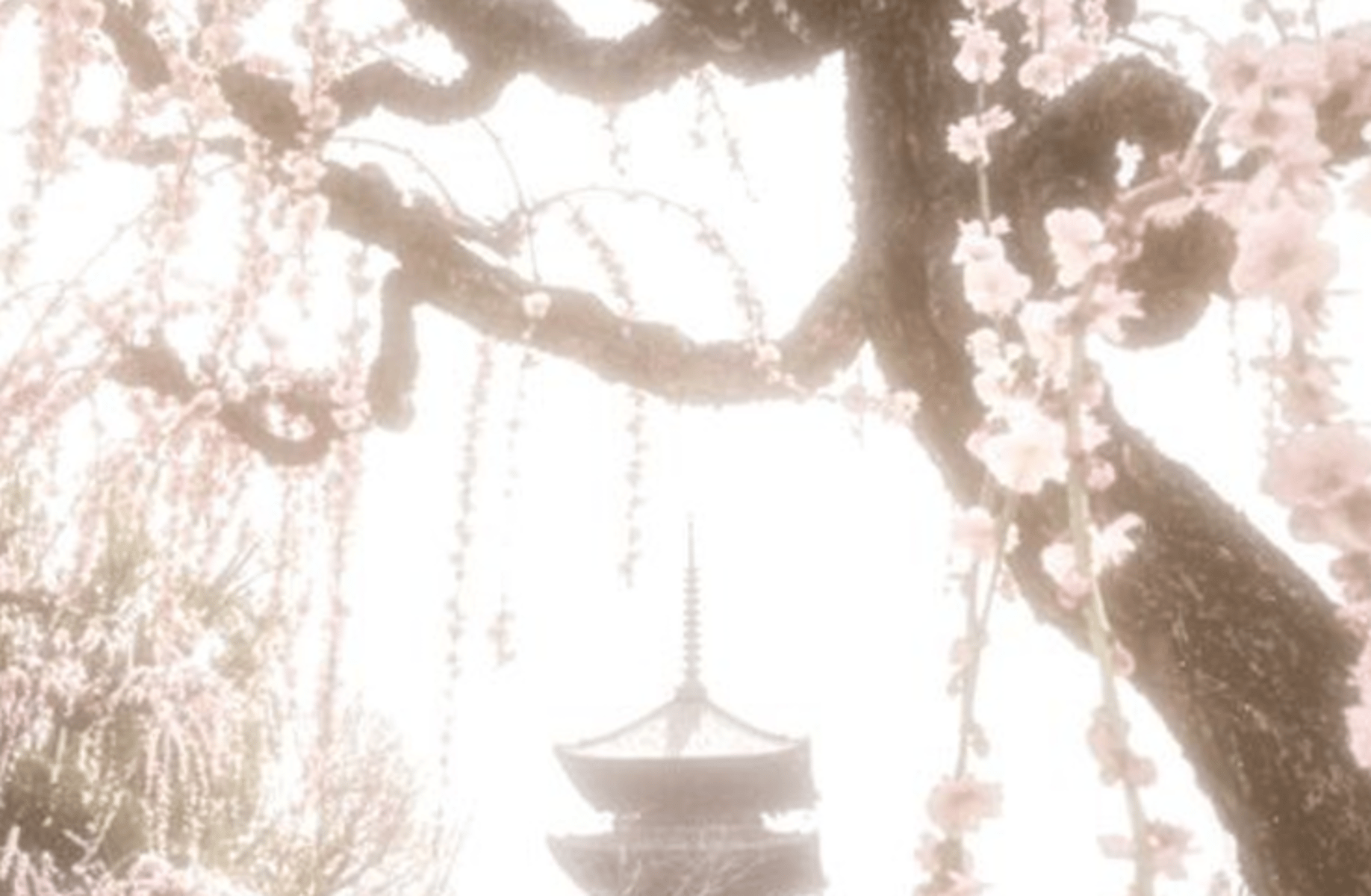 Shingen yamazaki