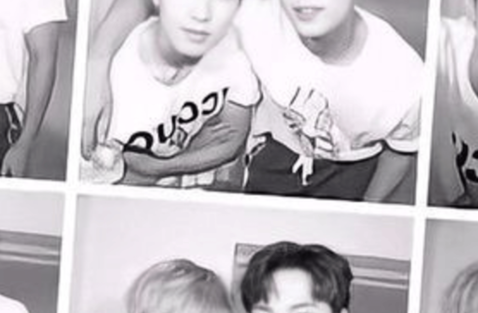 Wonwoo and mingyu