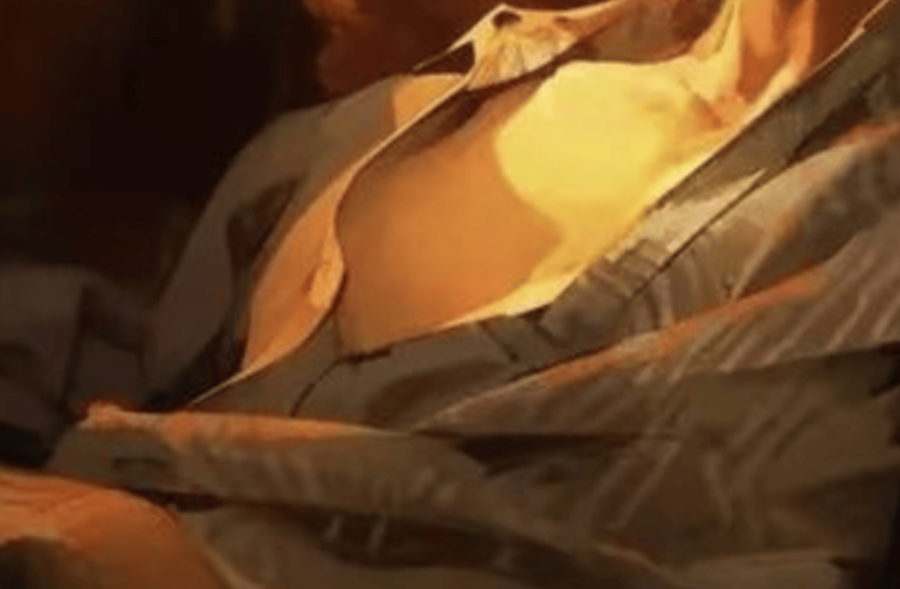 Zane (mafia husband)