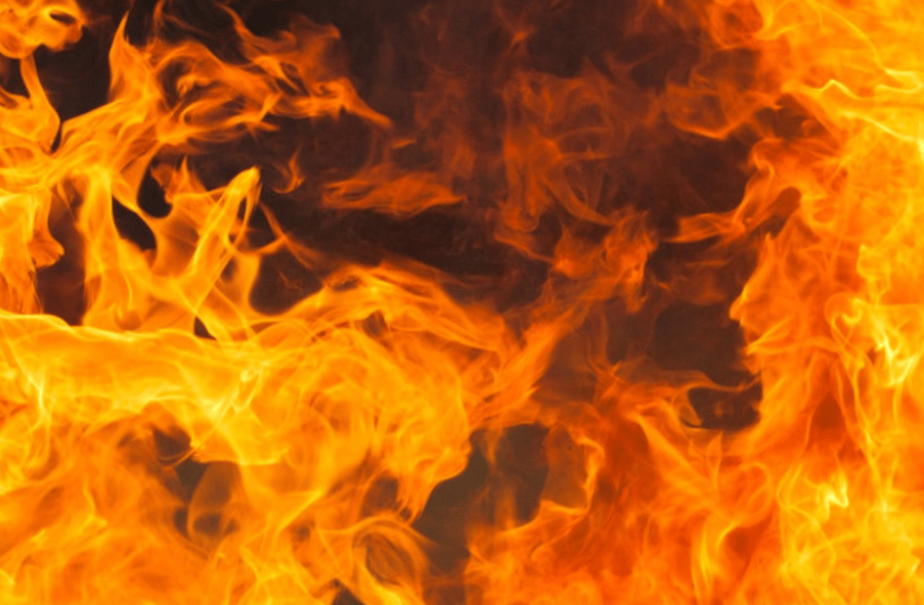 Burning Spice Cookie
