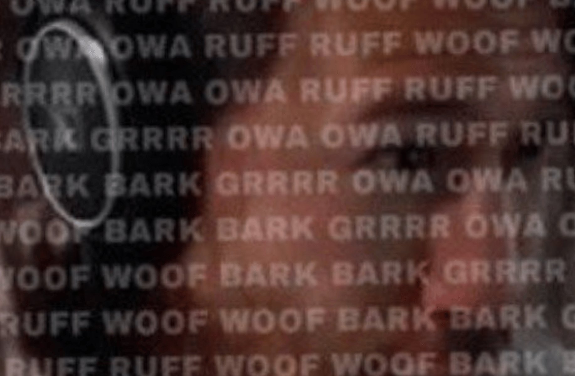 Willow Weep