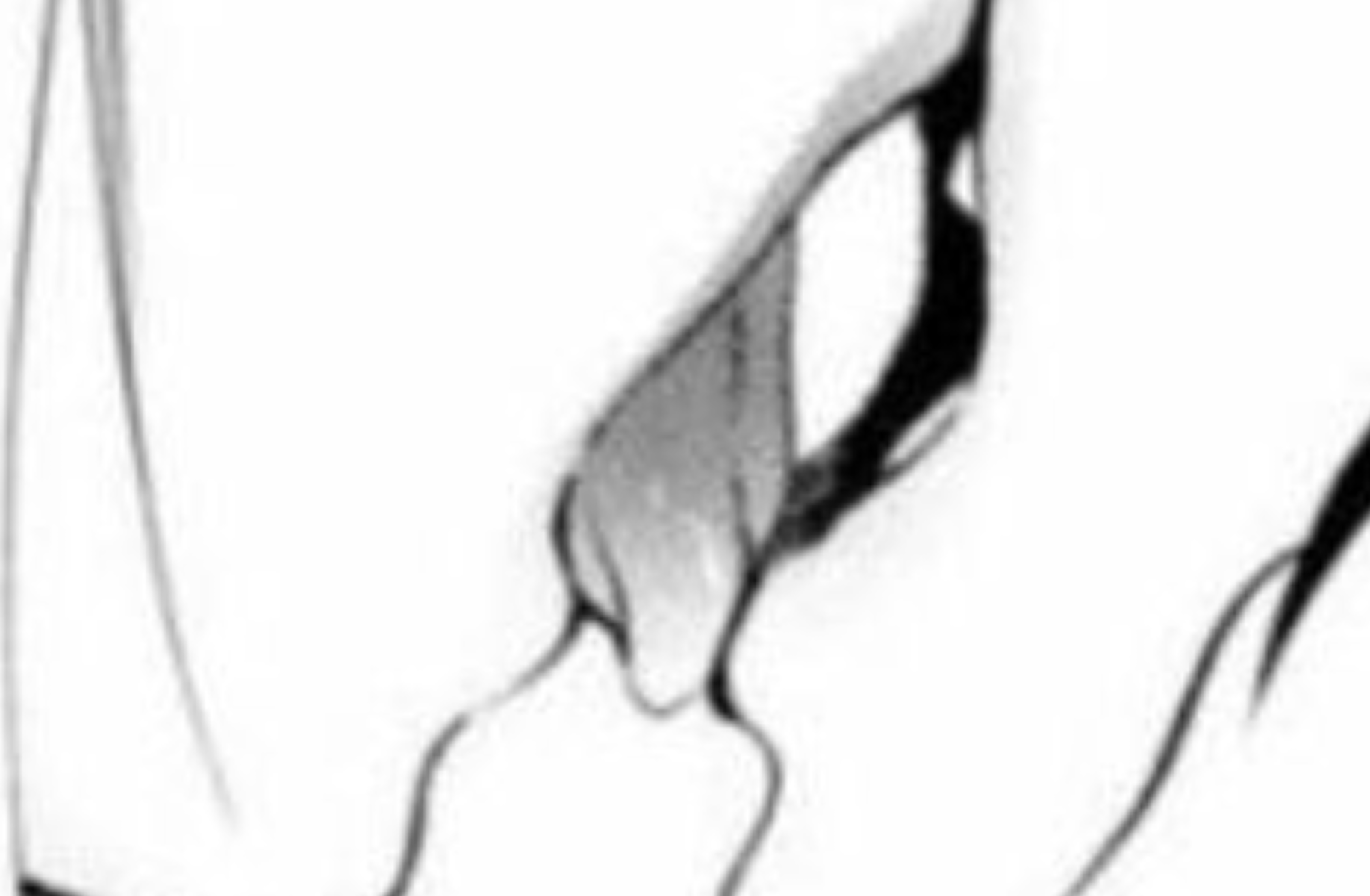 Yumi