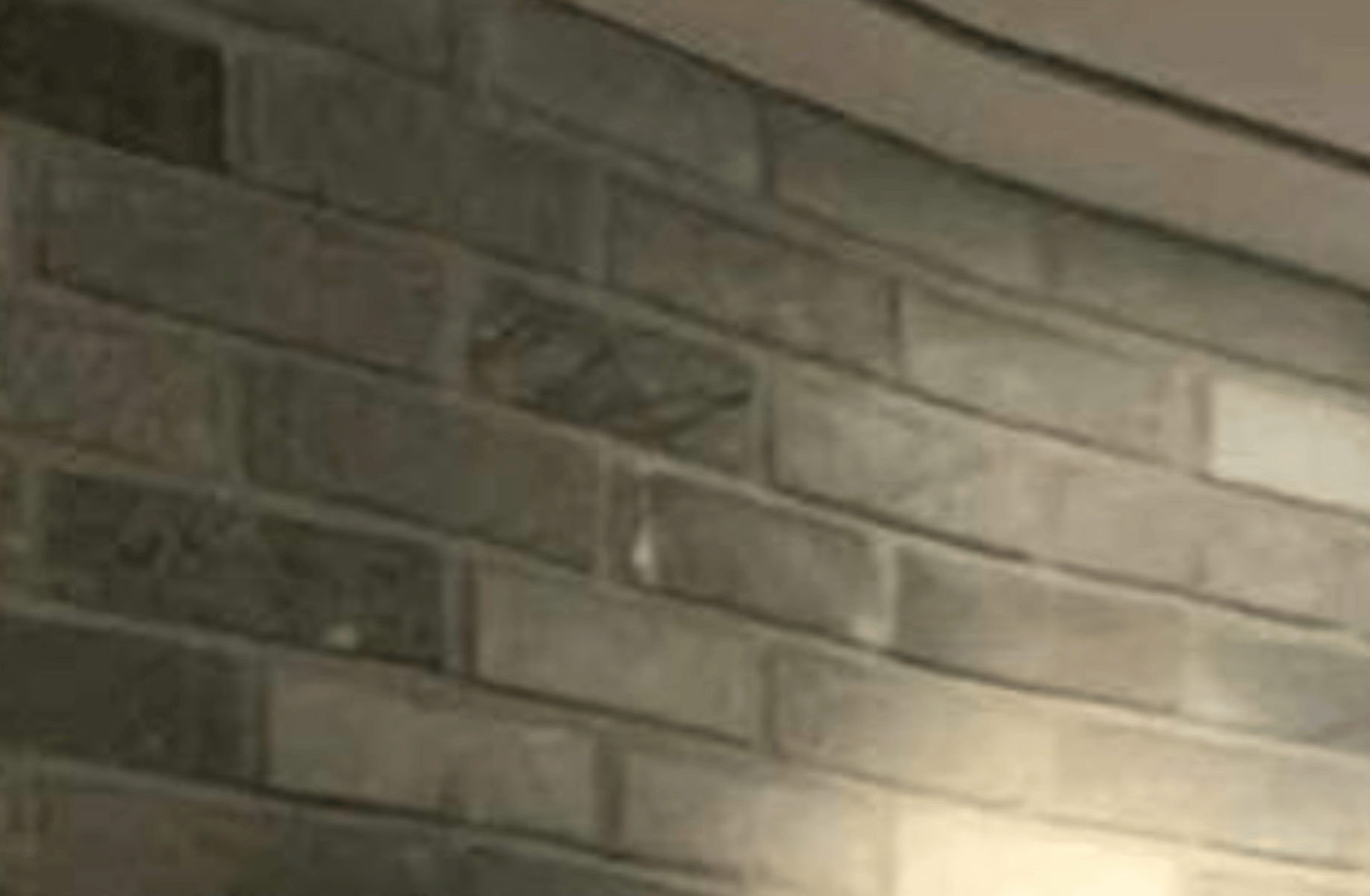 Doha (Your Boyfriend)