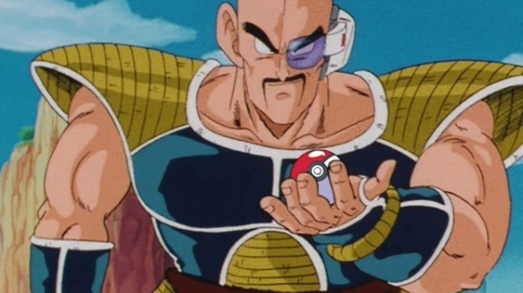 Nappa | TFS