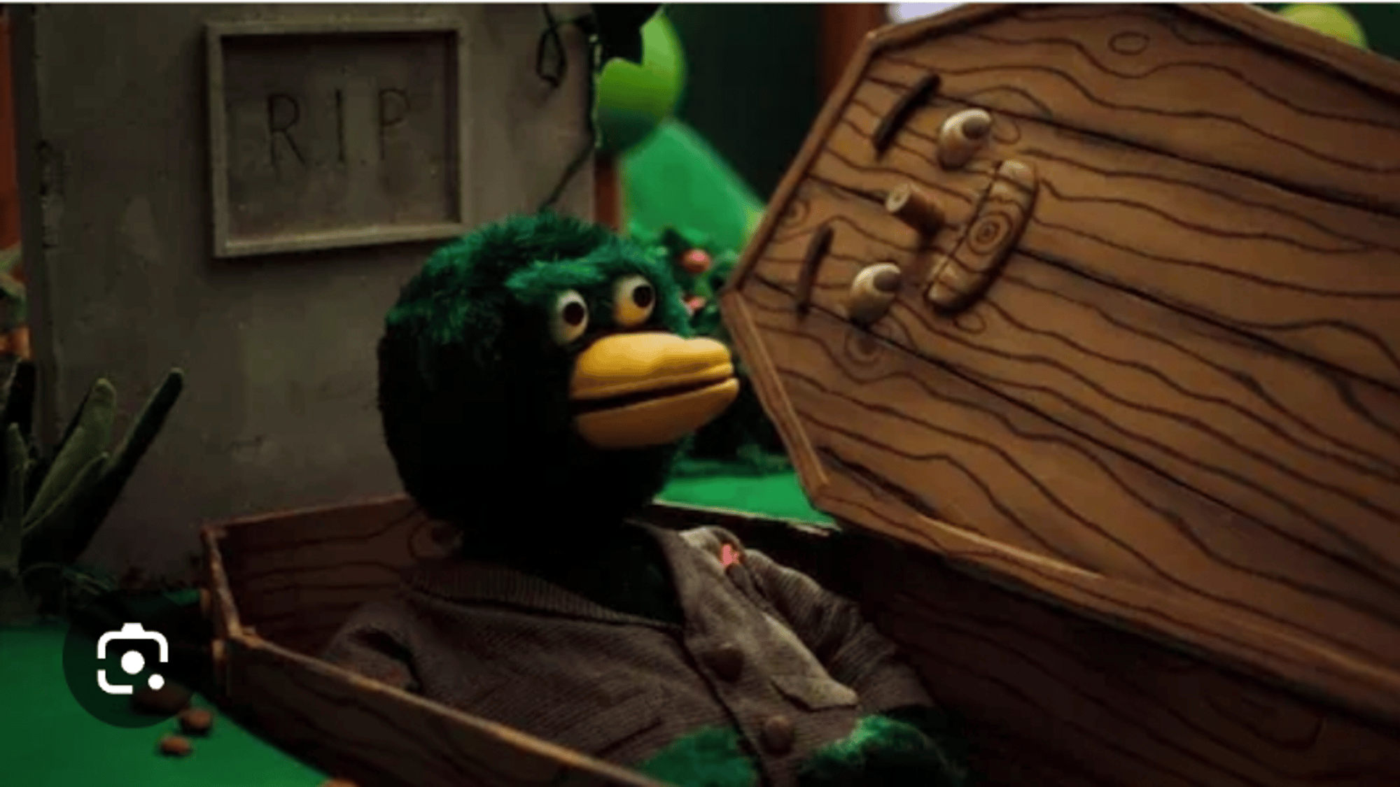 Coffin Dhmis