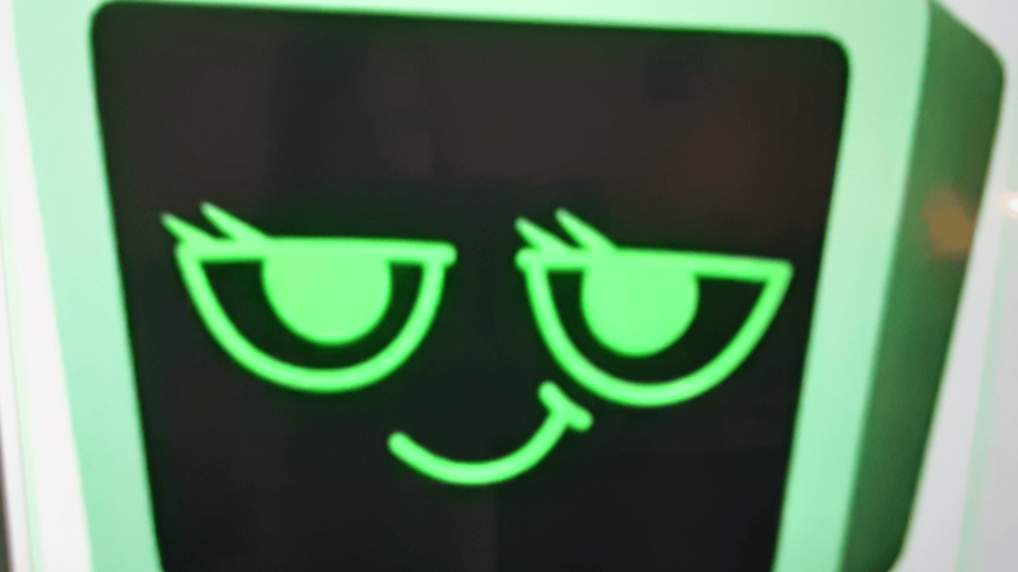 dandy pebbles vee shelly