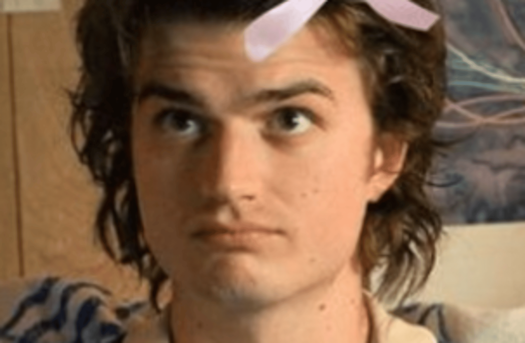 Steve Harrington