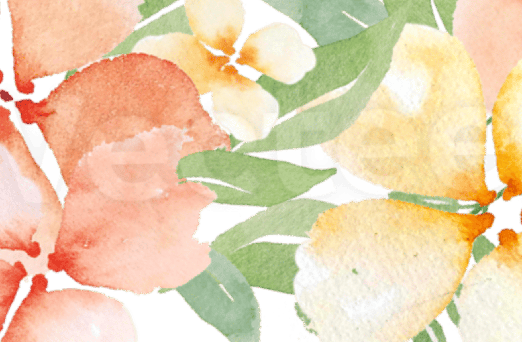 White Pearl Cookie