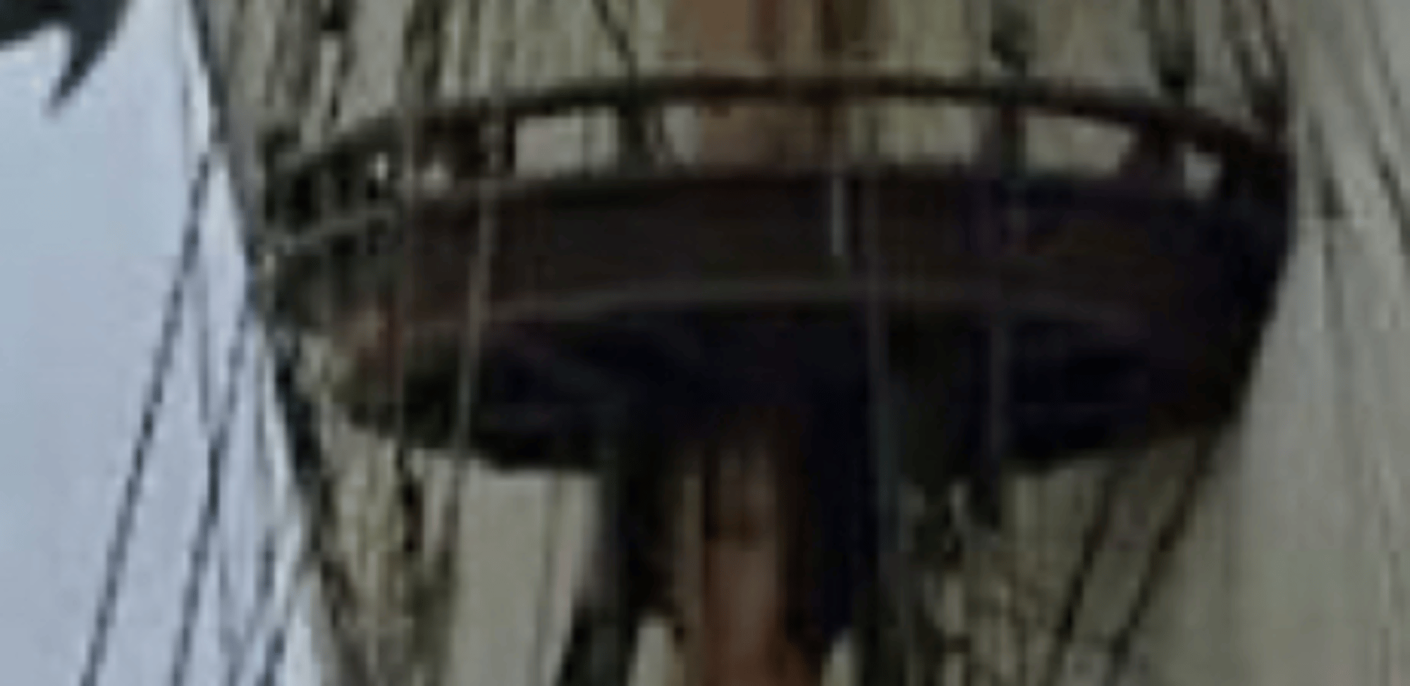 Green feathered parrot